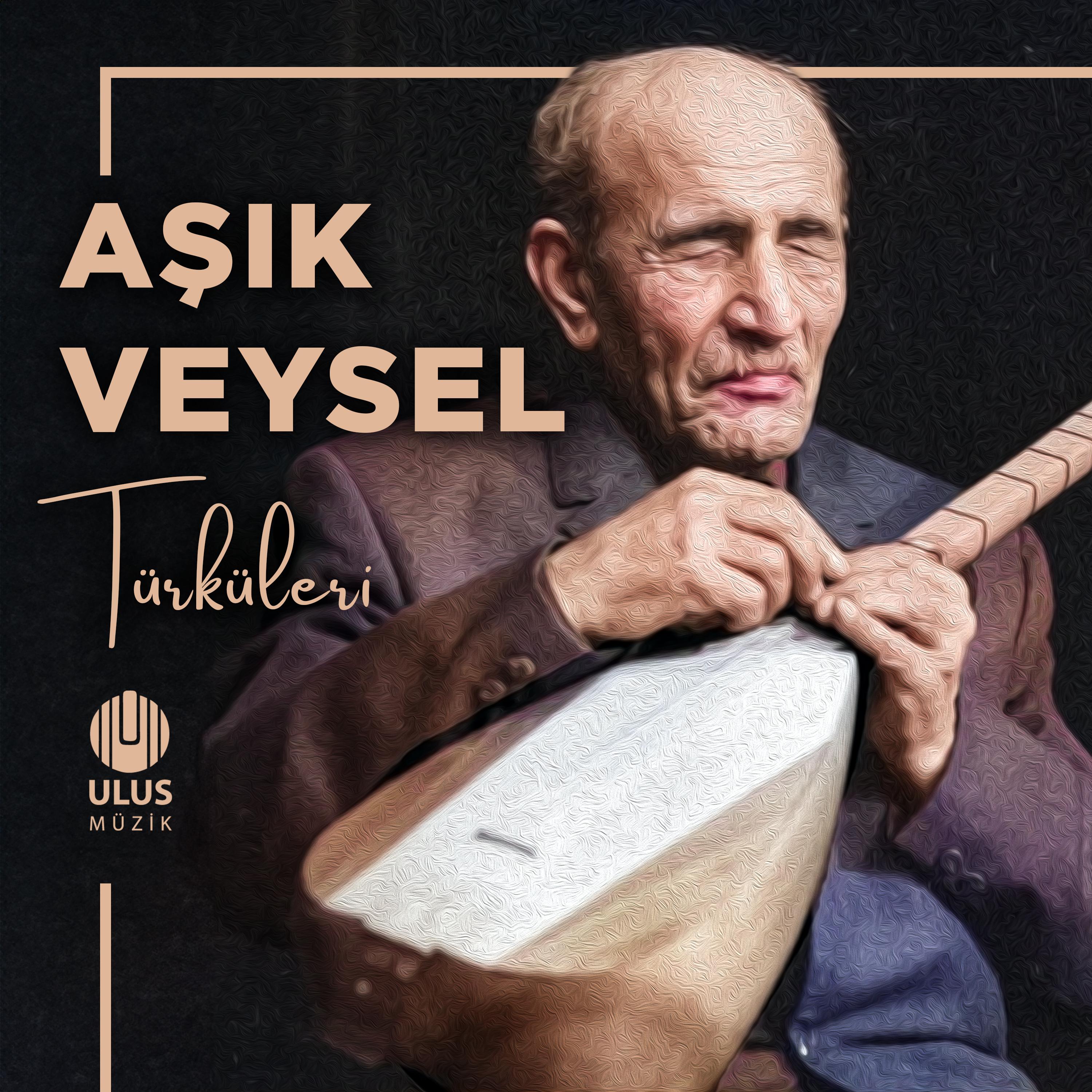 Постер альбома Aşık Veysel Türküleri