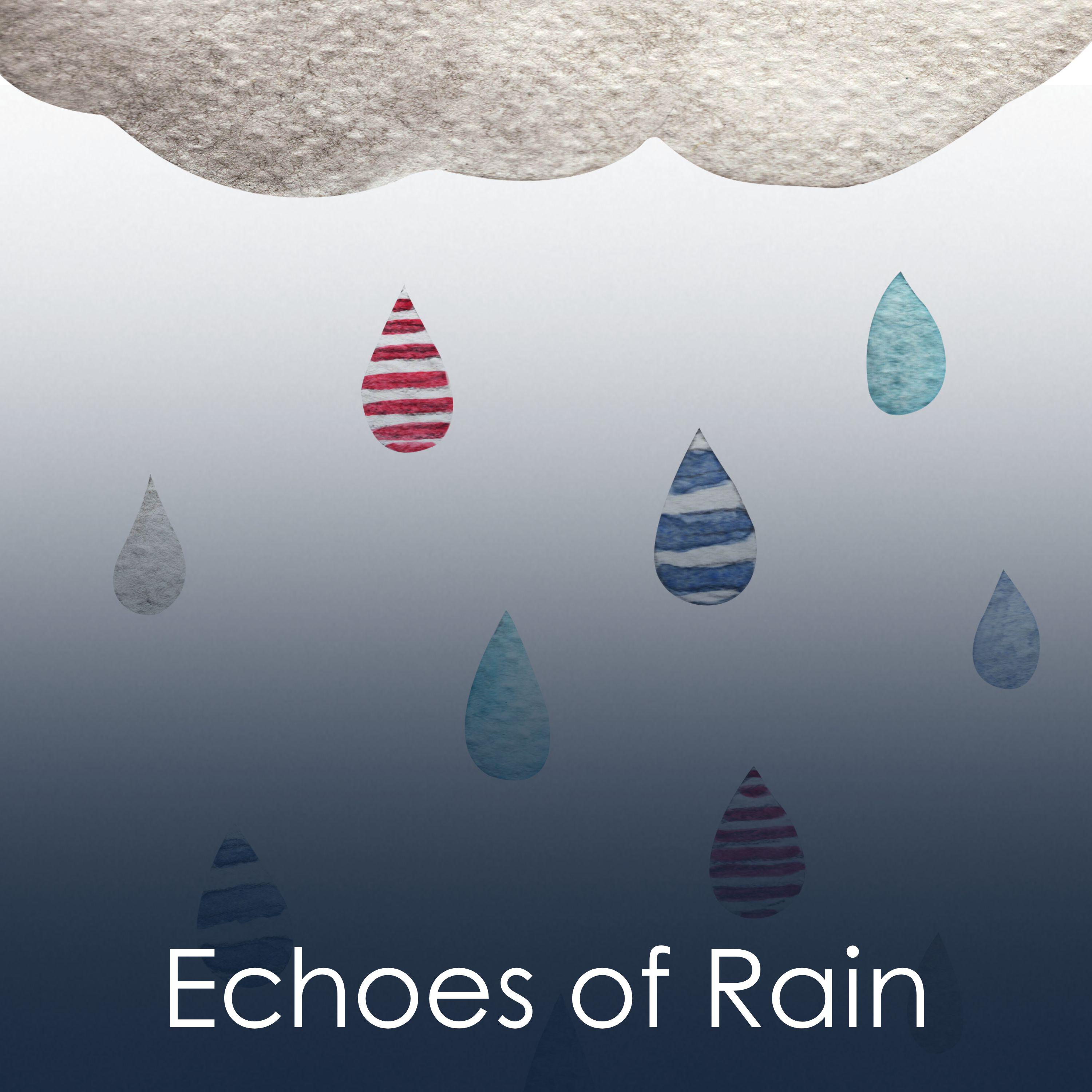 Постер альбома Echoes of Rain