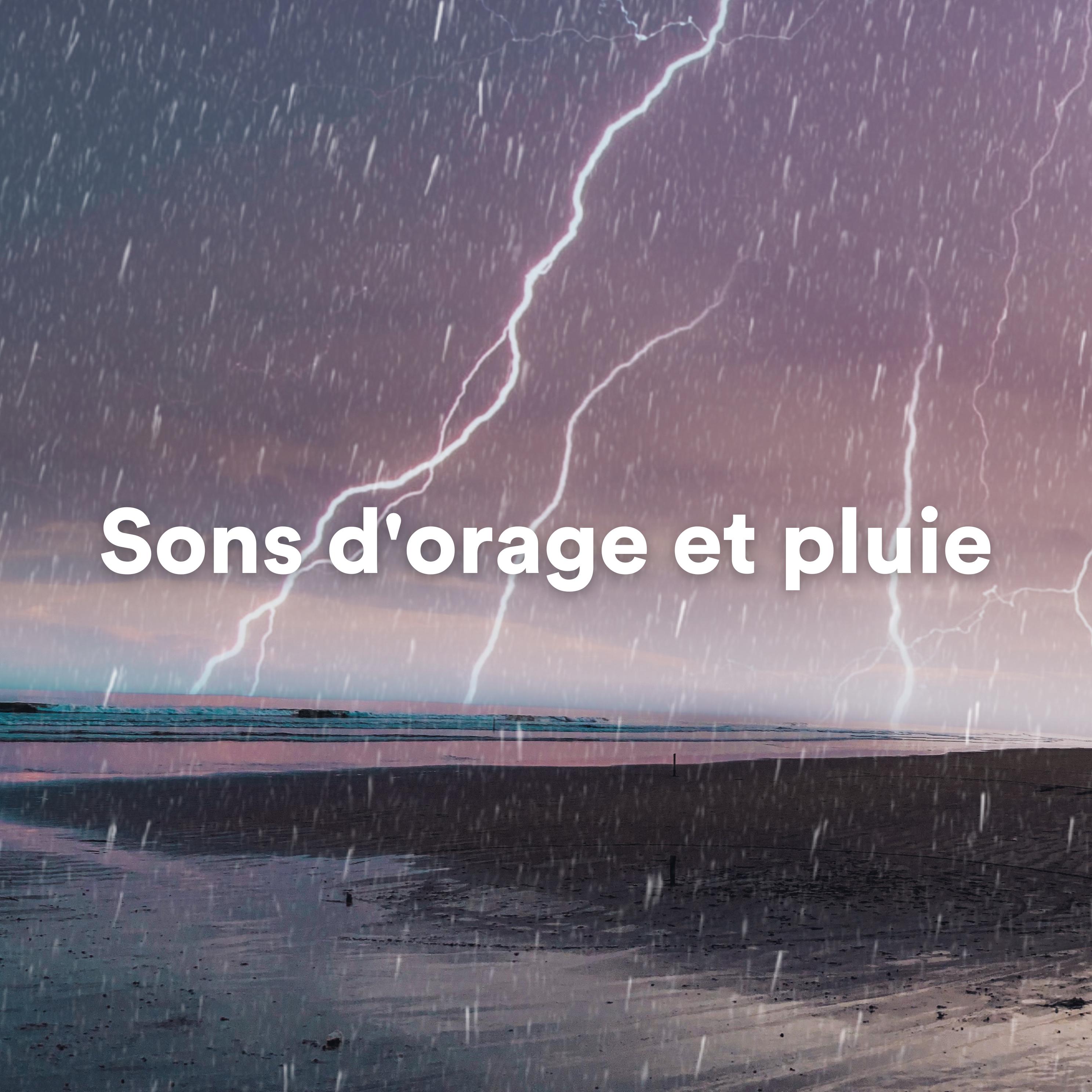 Постер альбома Sons d'orage et pluie