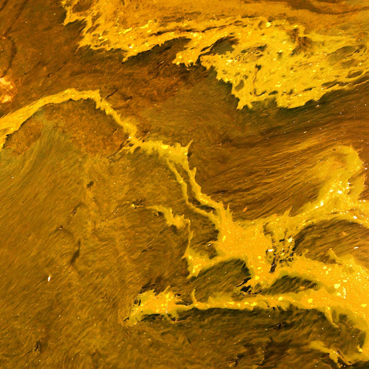 ТоЯ - I see the light (belarussian ver)