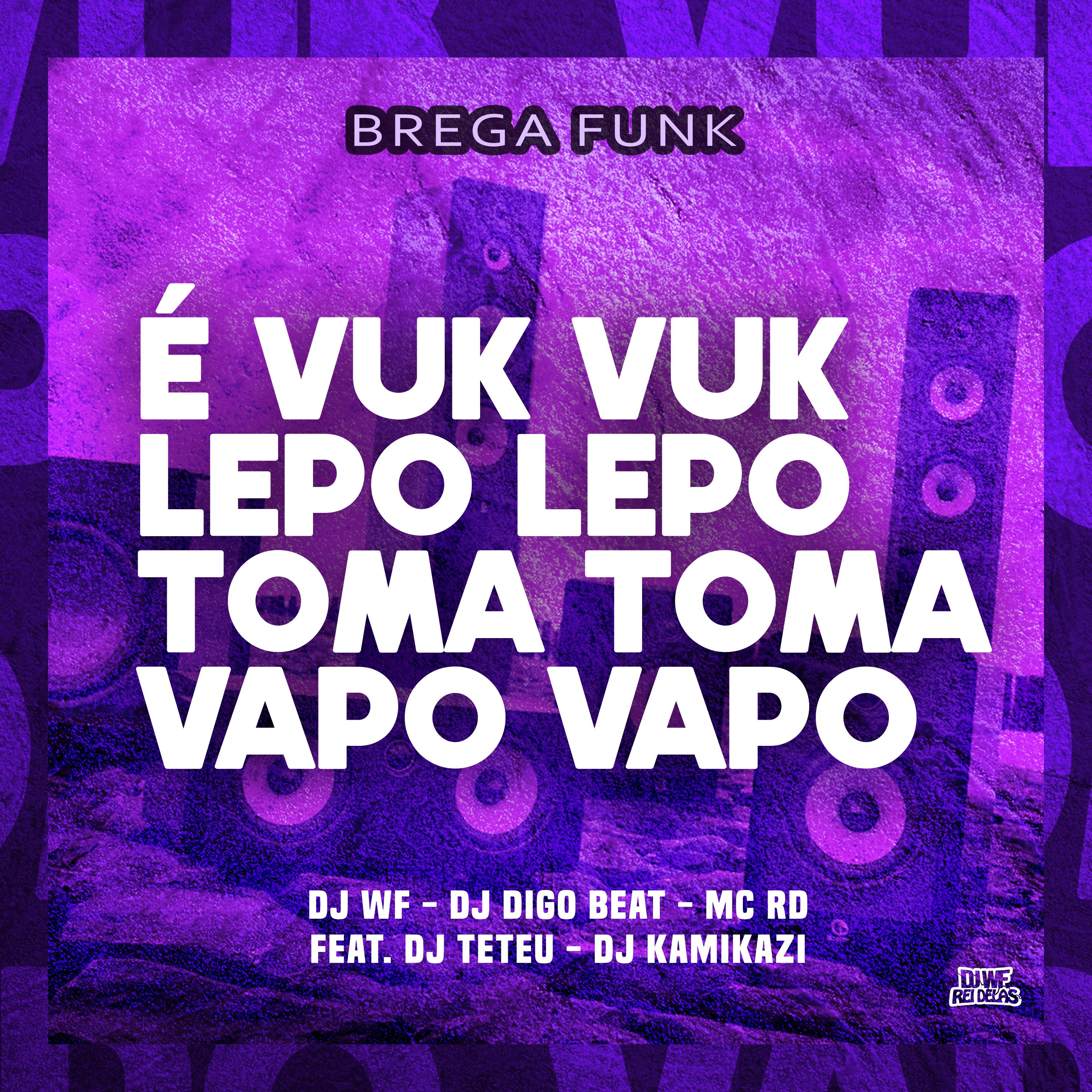Постер альбома É Vuk Vuk Lepo Lepo Toma Toma Vapo Vapo (Brega Funk)