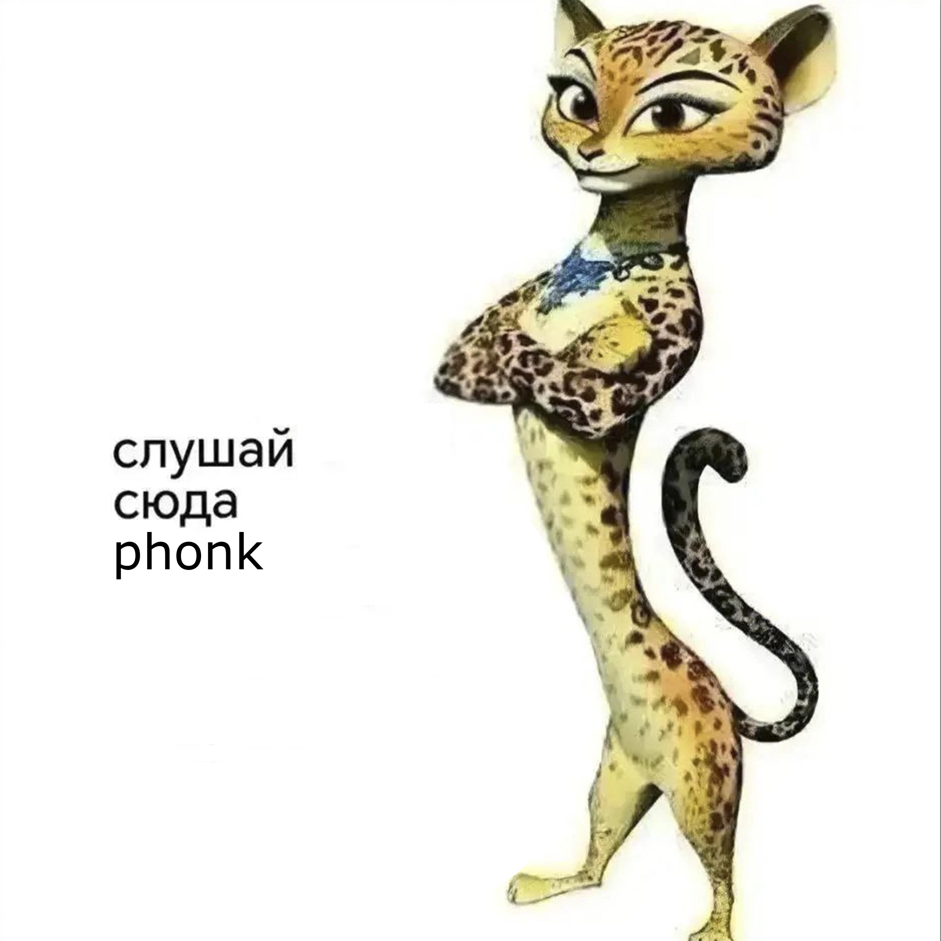 Постер альбома СЛУШАЙ СЮДА PHONK