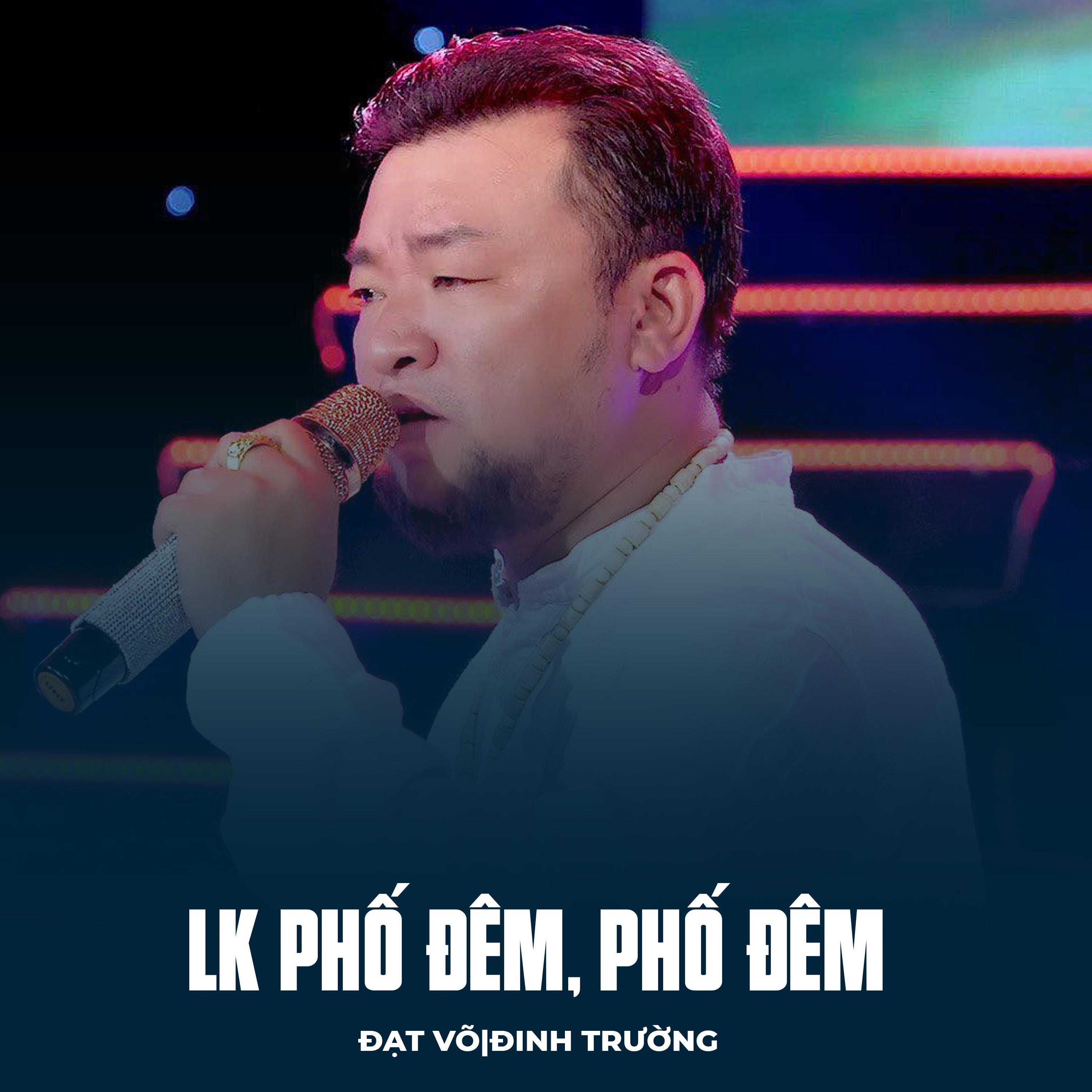 Постер альбома LK Phố Đêm, Phố Đêm