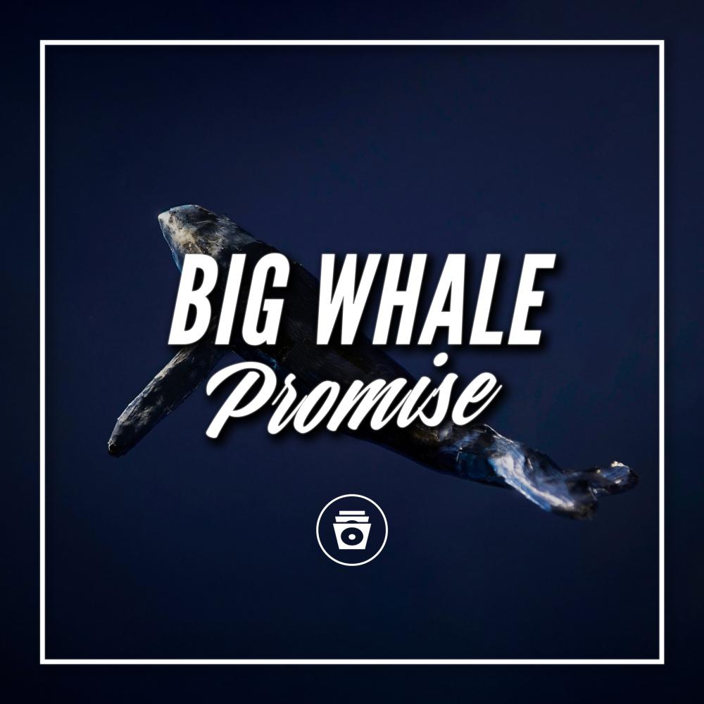 Постер альбома Big Whale Promise