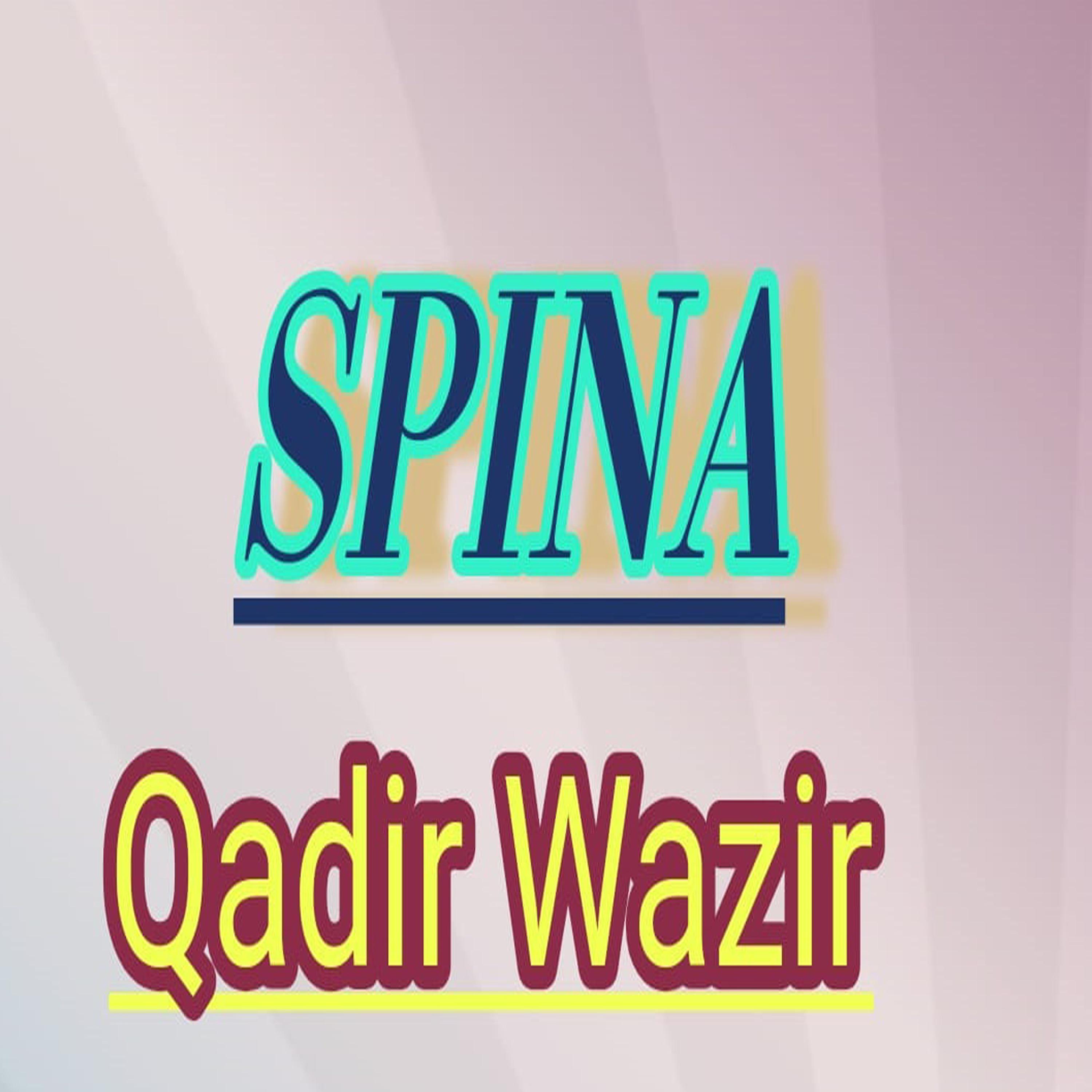 Постер альбома Spina