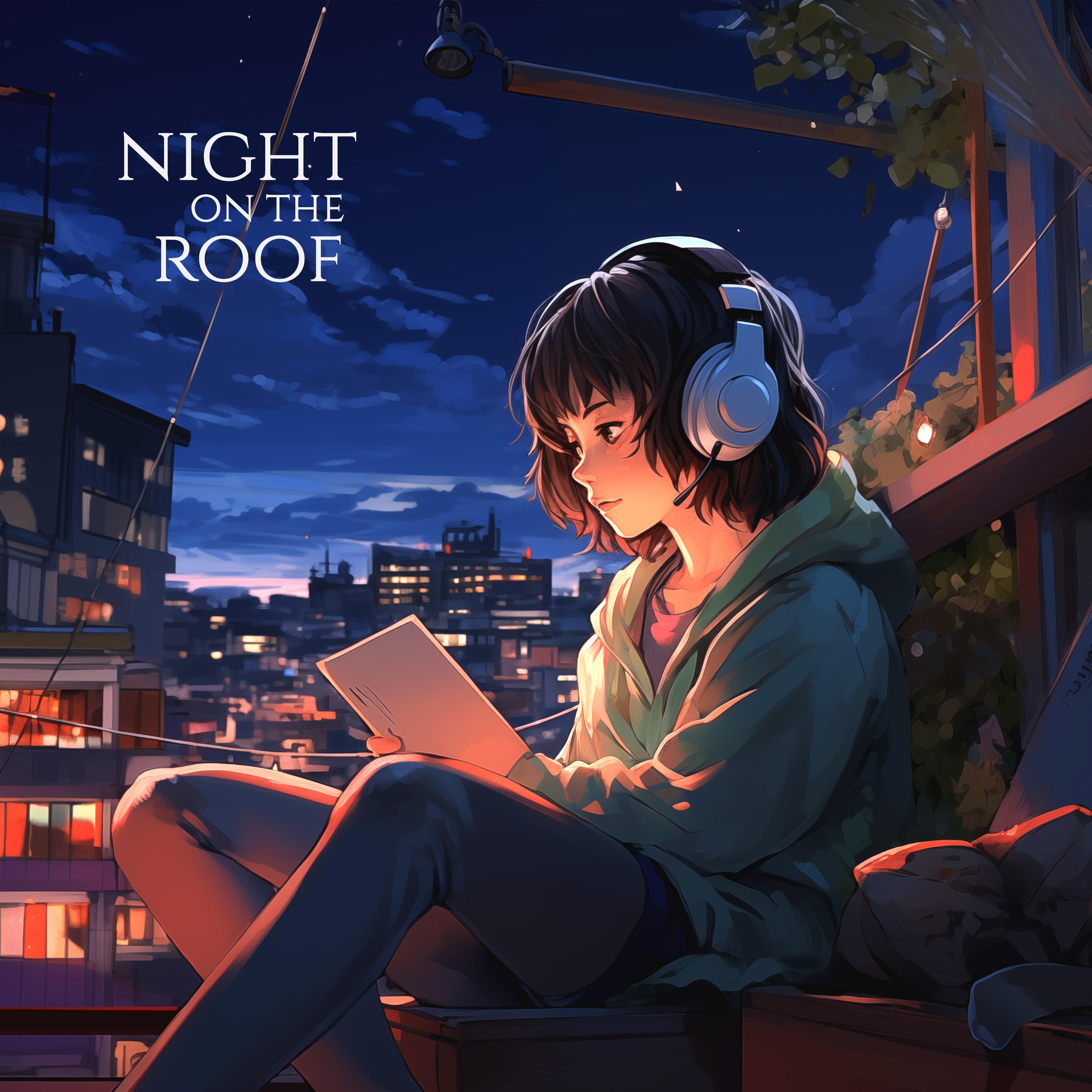 Постер альбома night on the roof