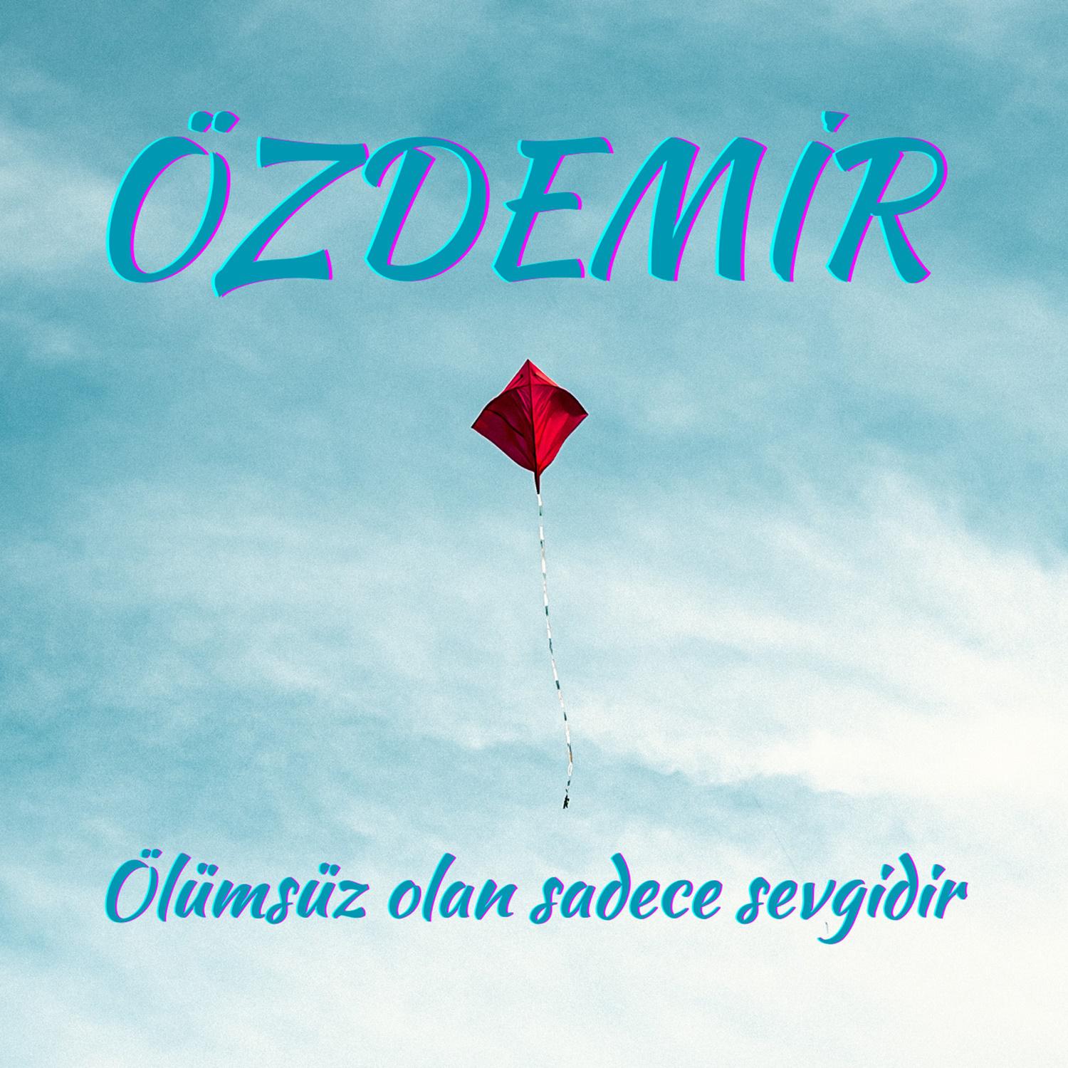 Постер альбома Ölümsüz Olan Sadece Sevgidir