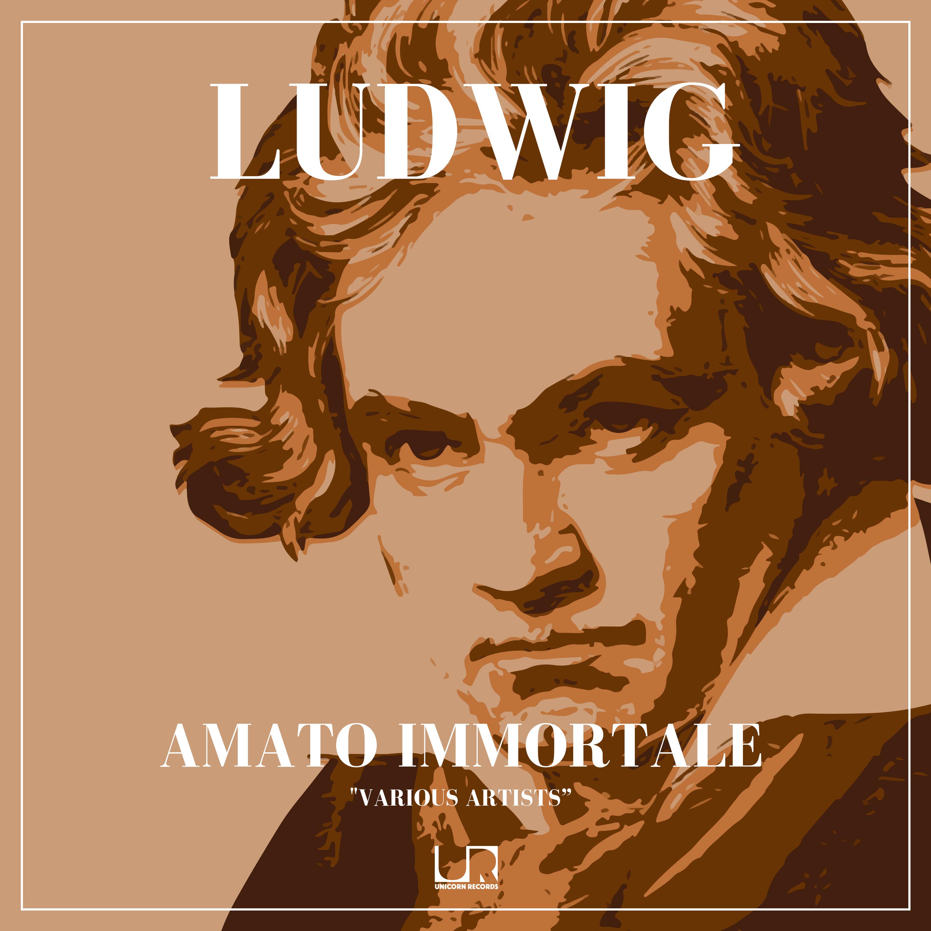 Постер альбома Ludwig amato immortale