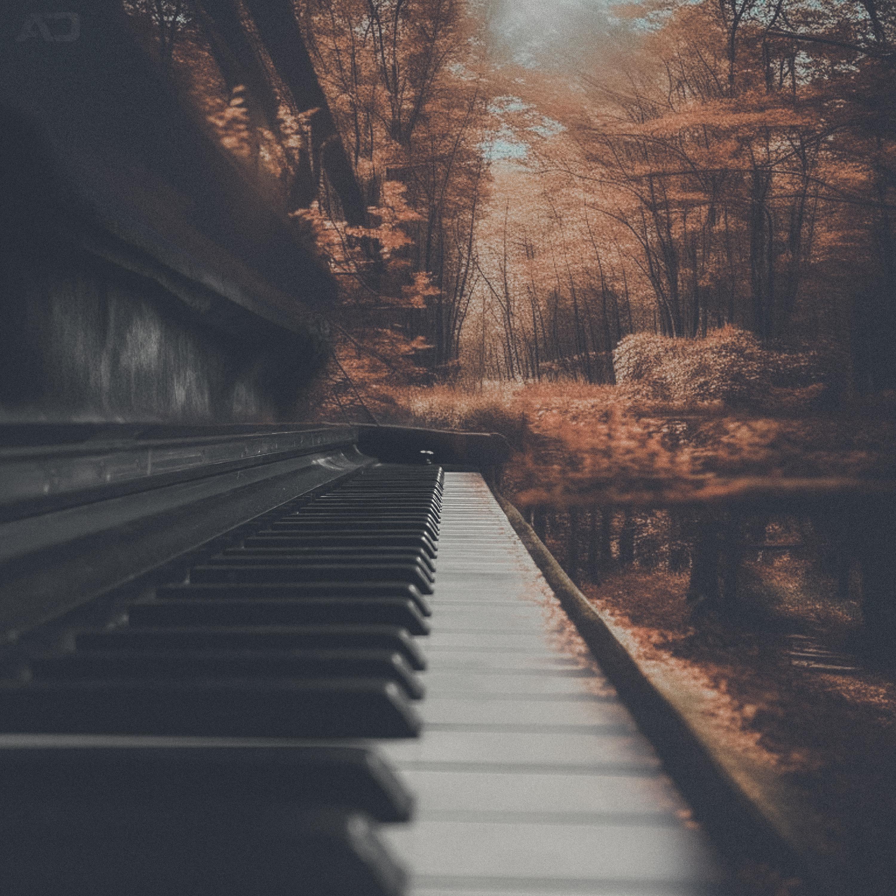 Постер альбома Tears on the Piano