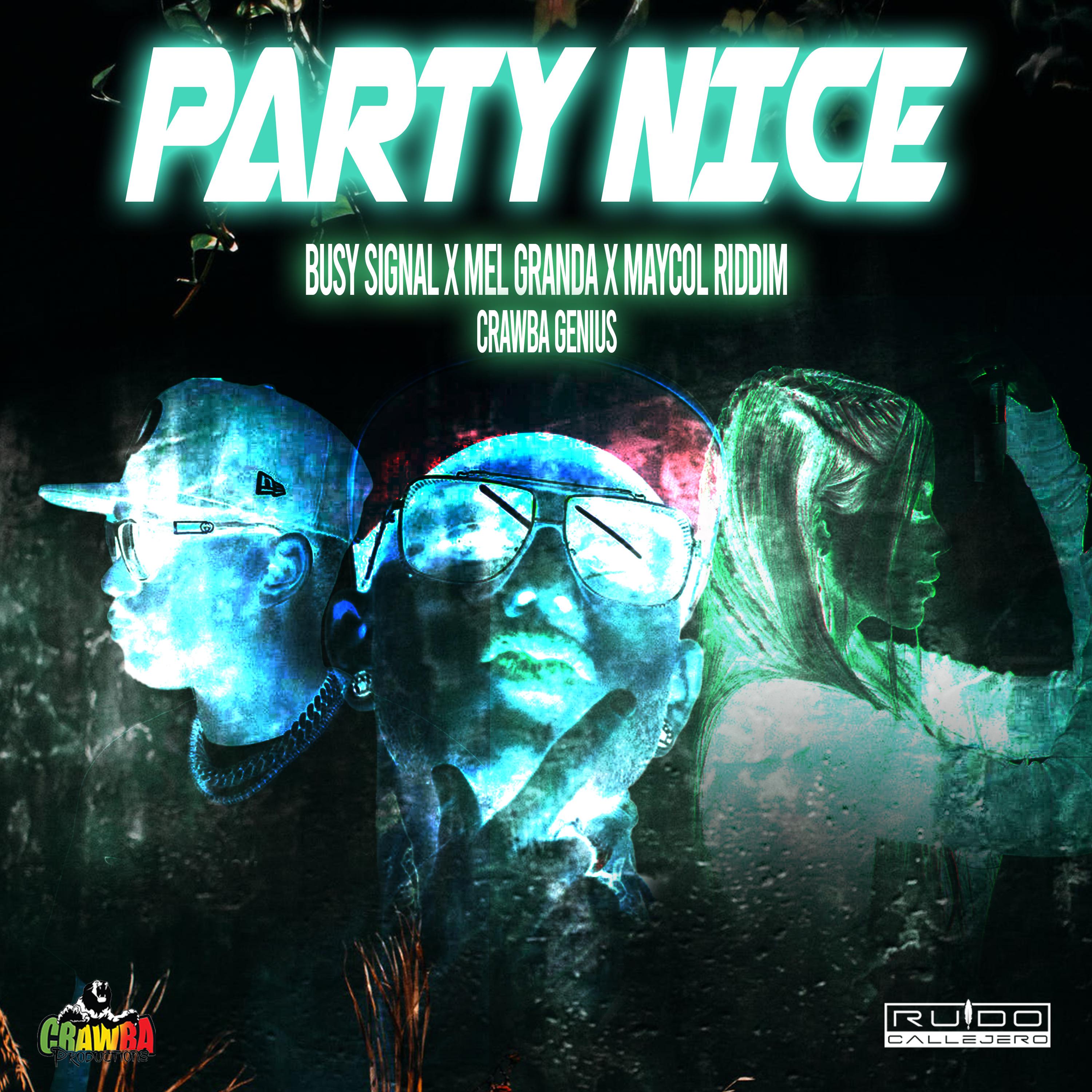 Постер альбома Party Nice