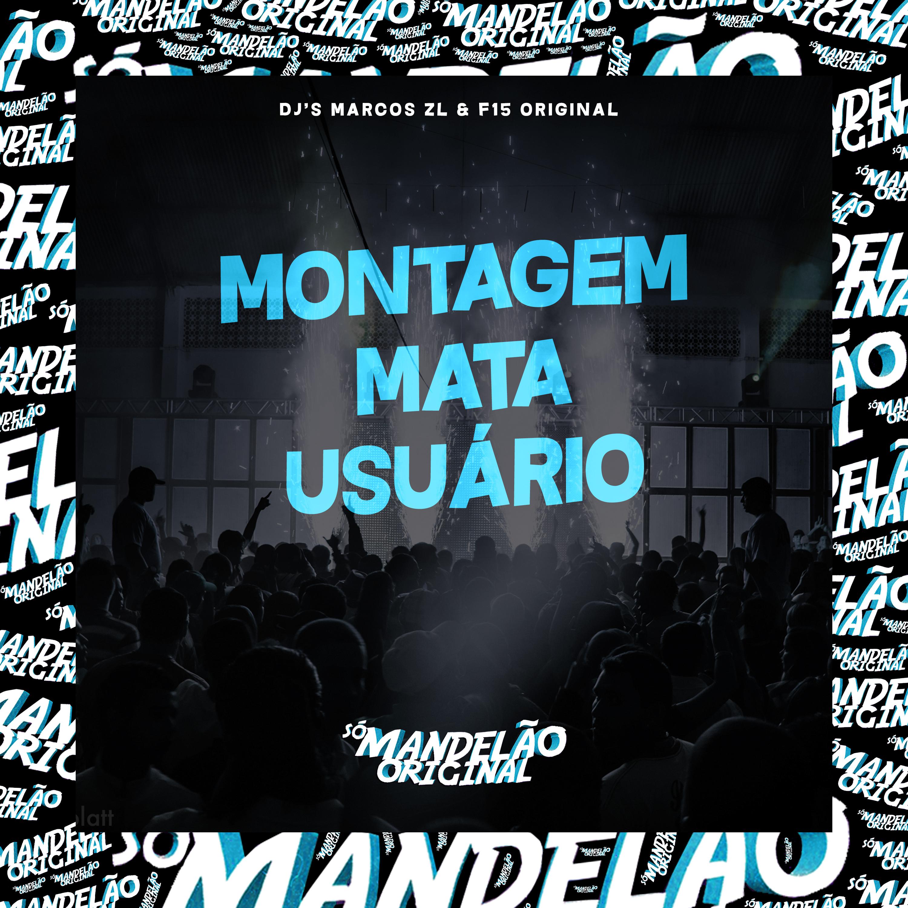 Постер альбома Montagem Mata Usuario