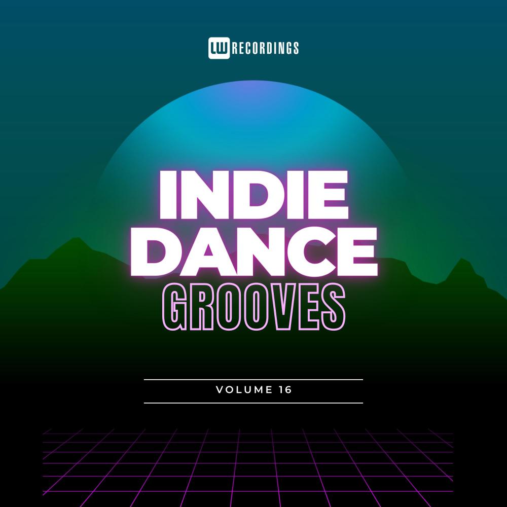 Постер альбома Indie Dance Grooves, Vol. 16