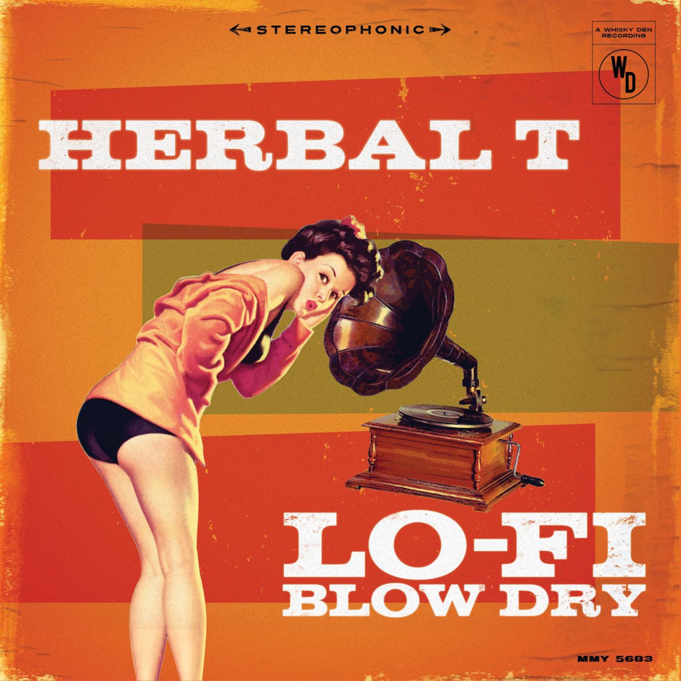 Постер альбома Lo-Fi Blow Dry