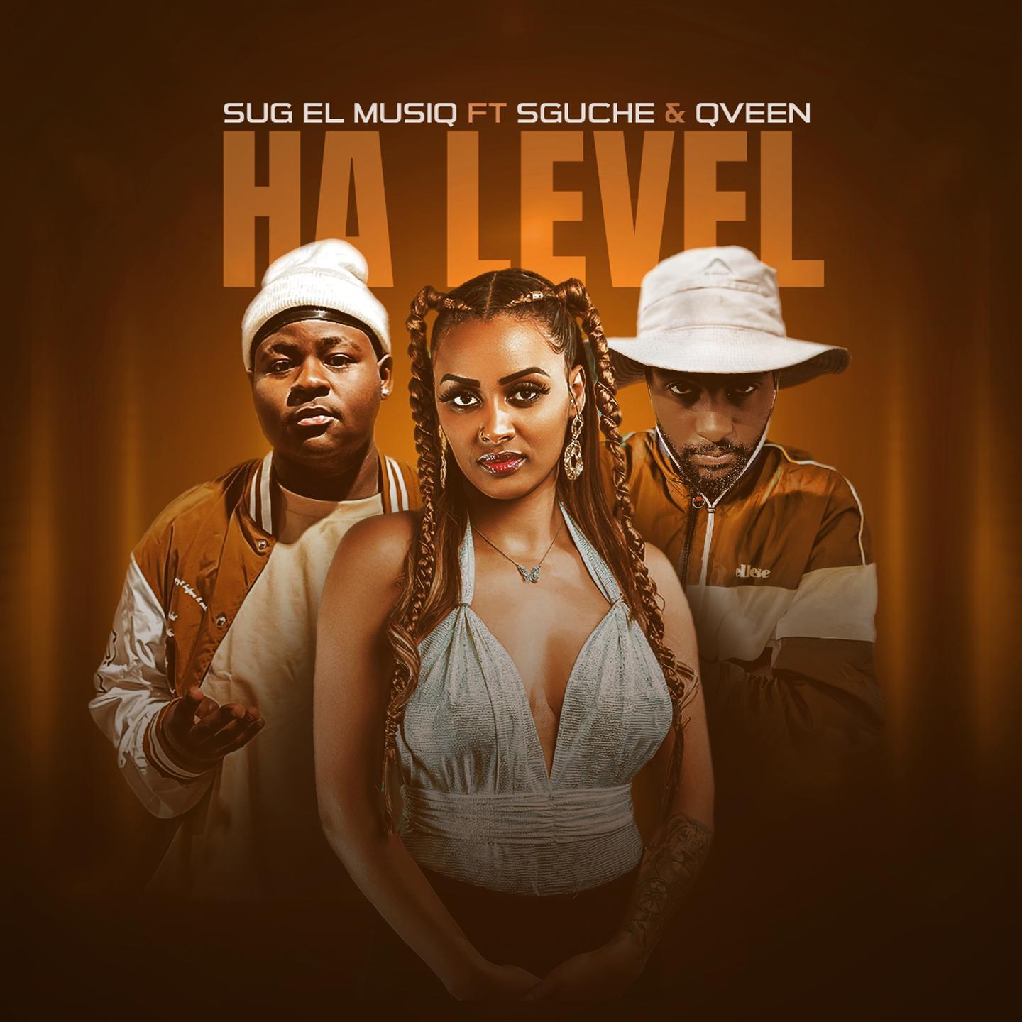 Постер альбома Ha Level (feat. Sguche & Qveen)