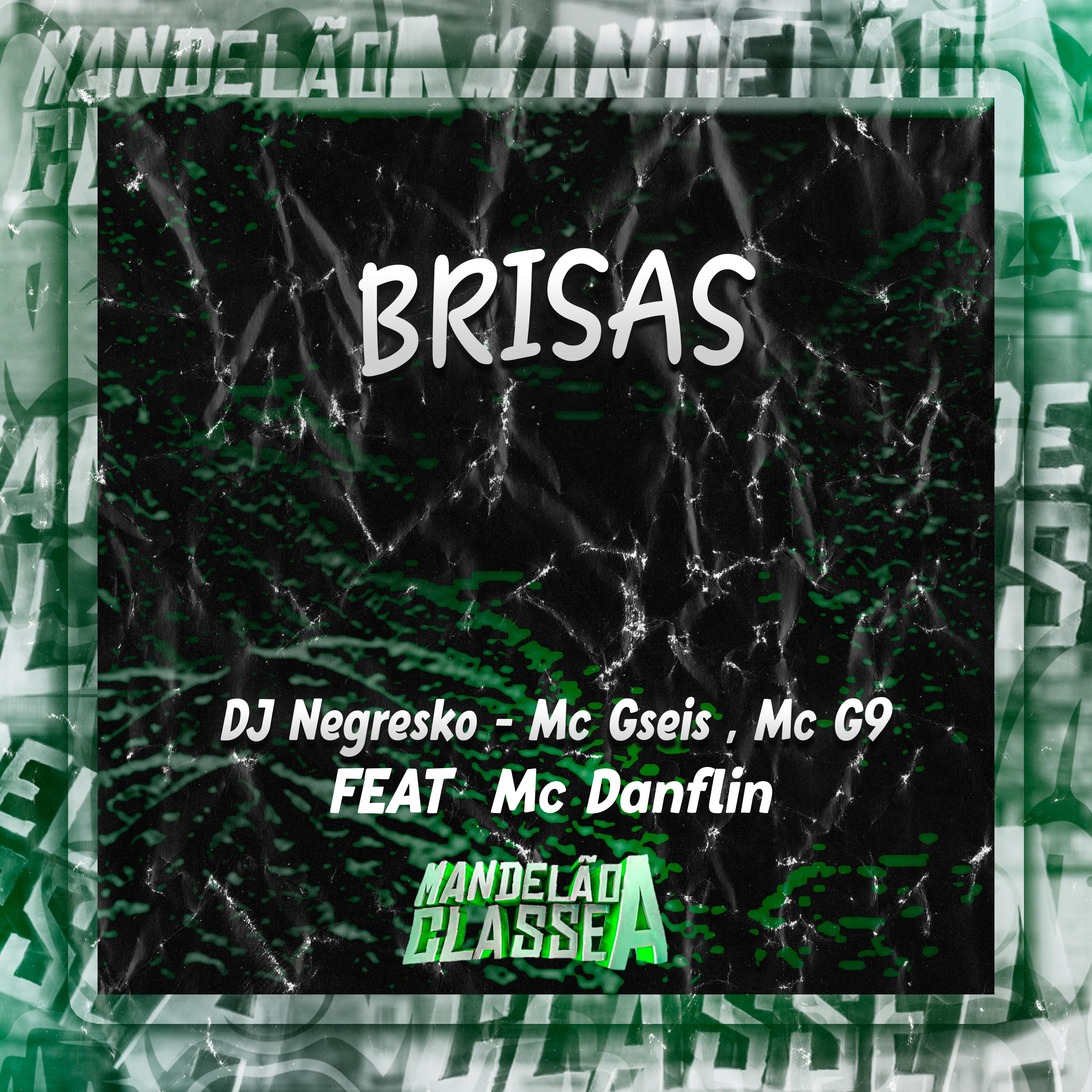 Постер альбома Brisas