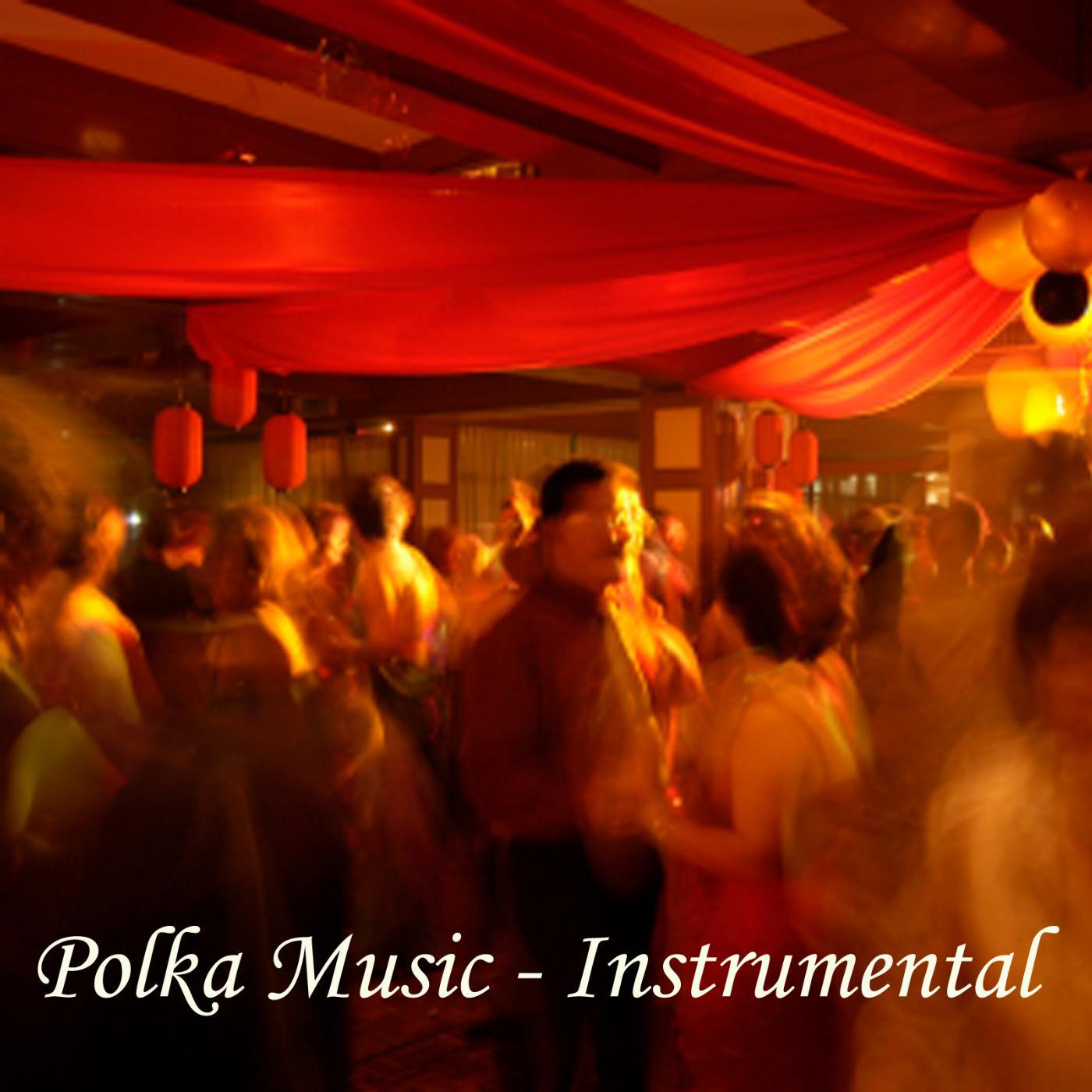 Постер альбома Polka Music - Instrumental