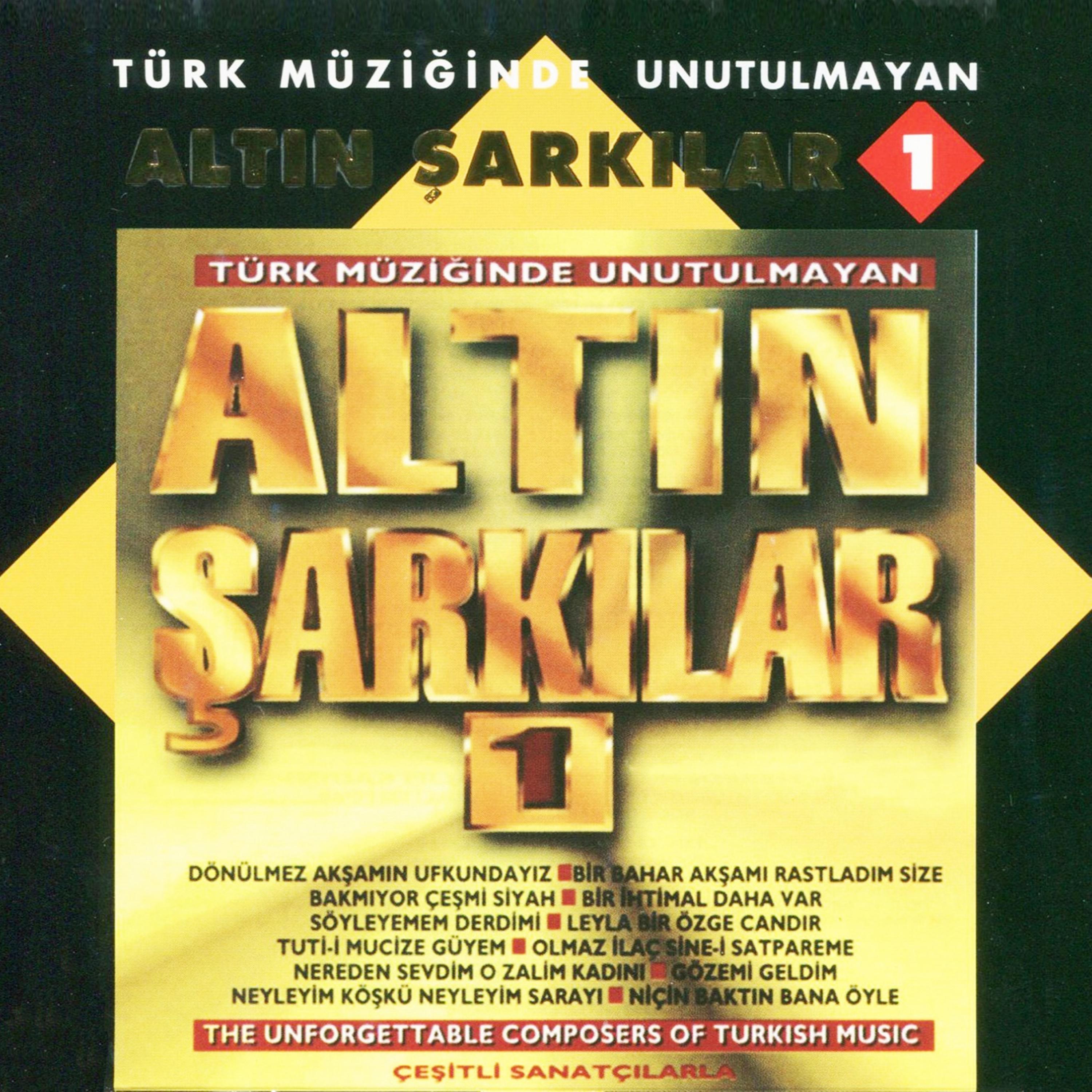 Постер альбома Altın Şarkılar 1
