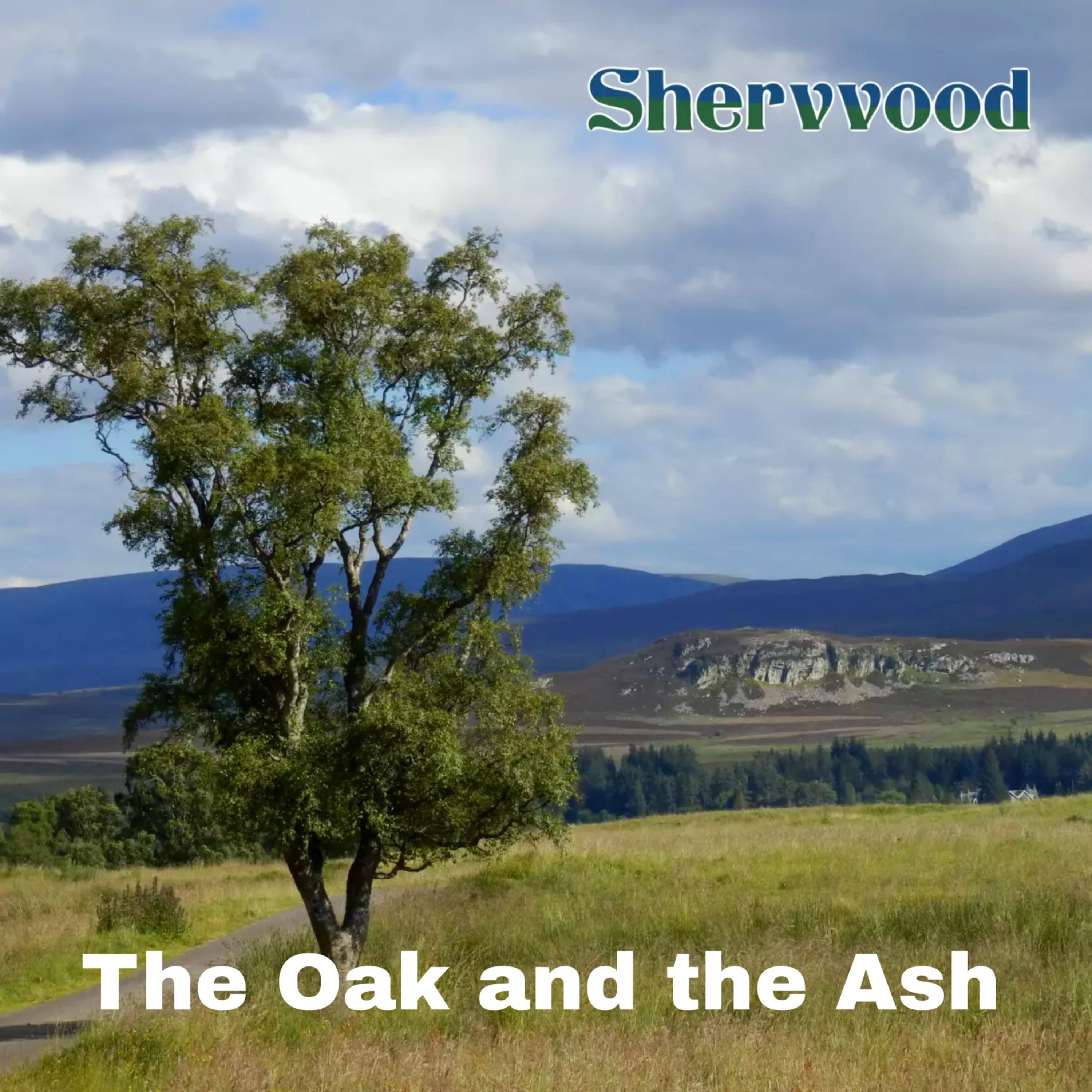 Постер альбома The Oak and the Ash