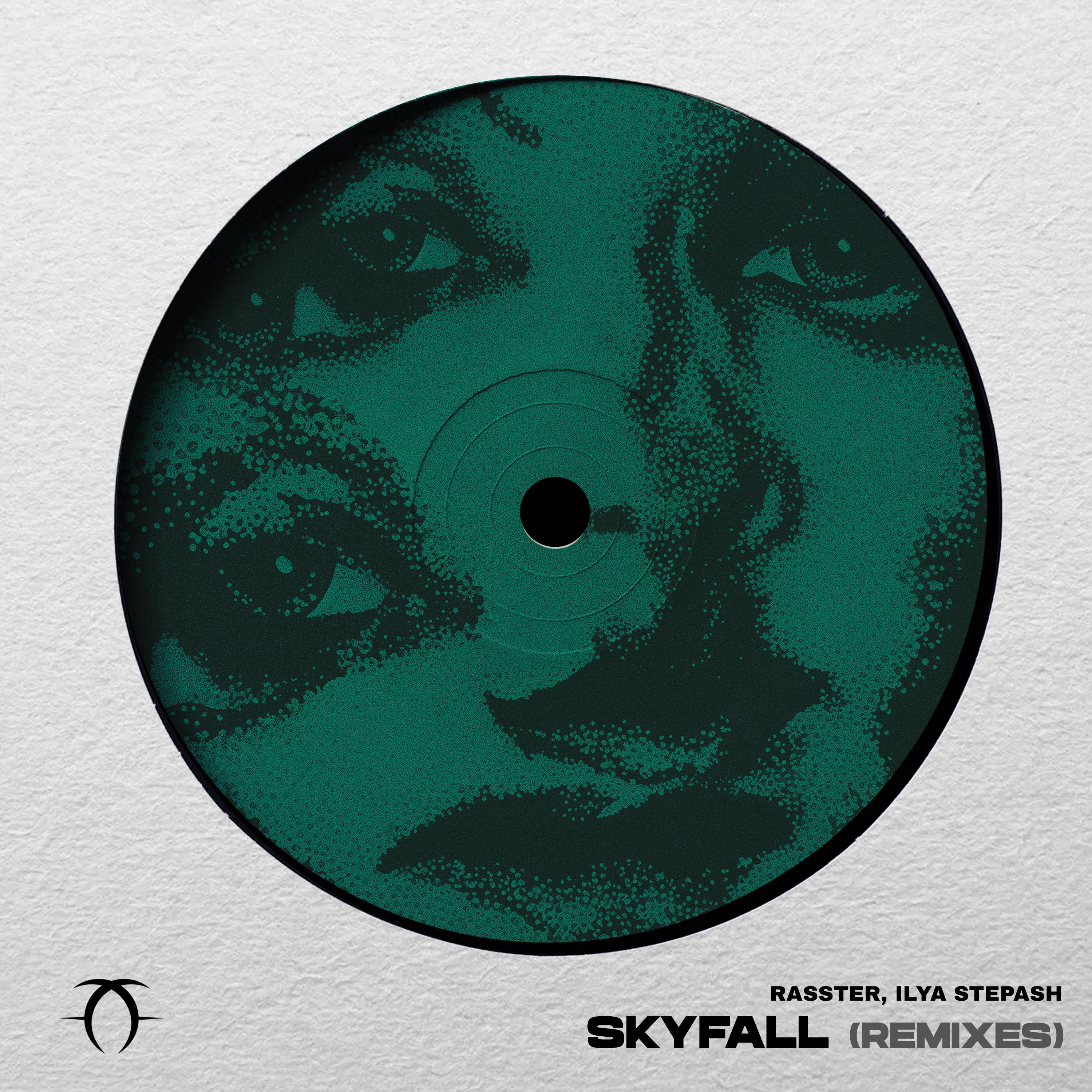 Постер альбома Skyfall Remixes