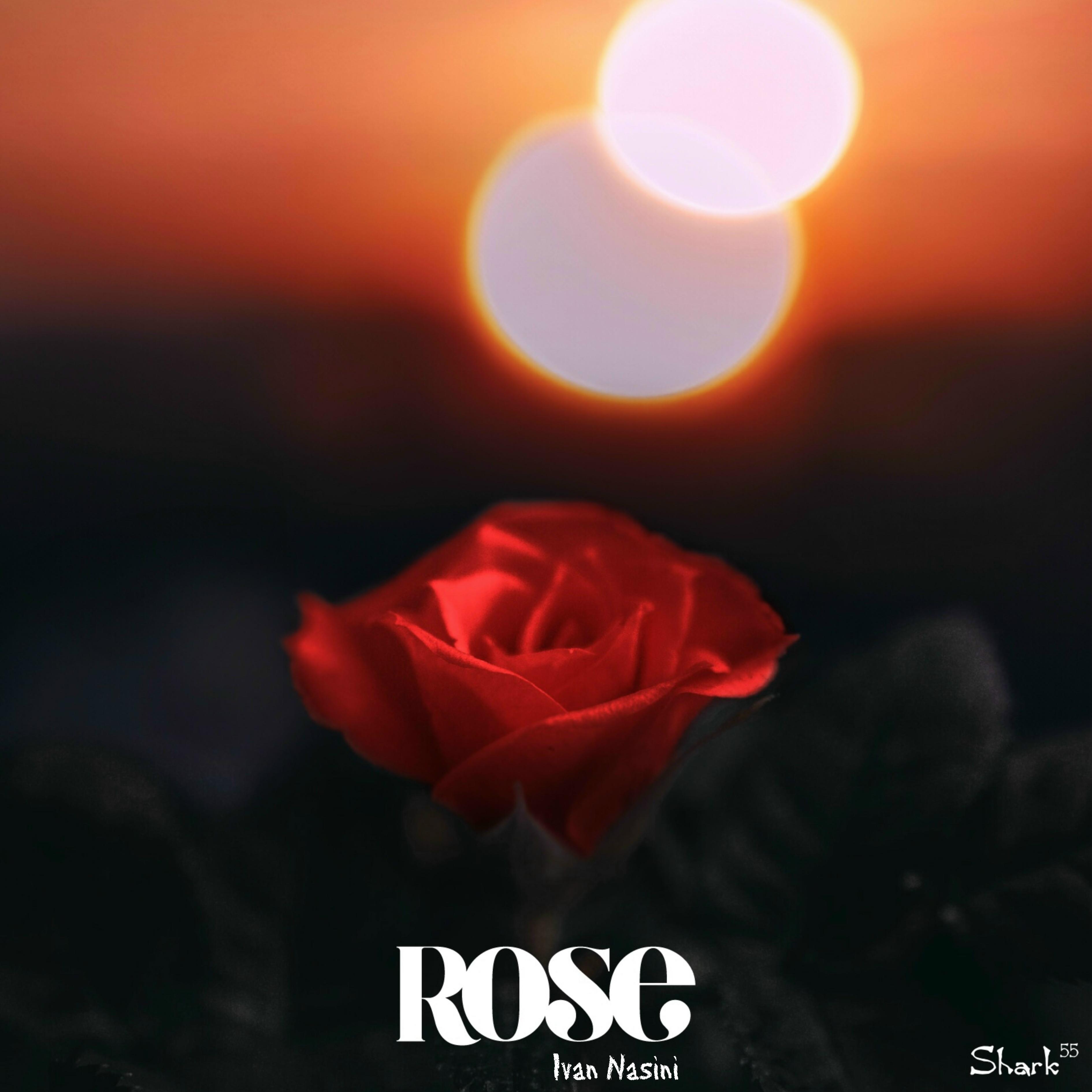 Постер альбома ROSE