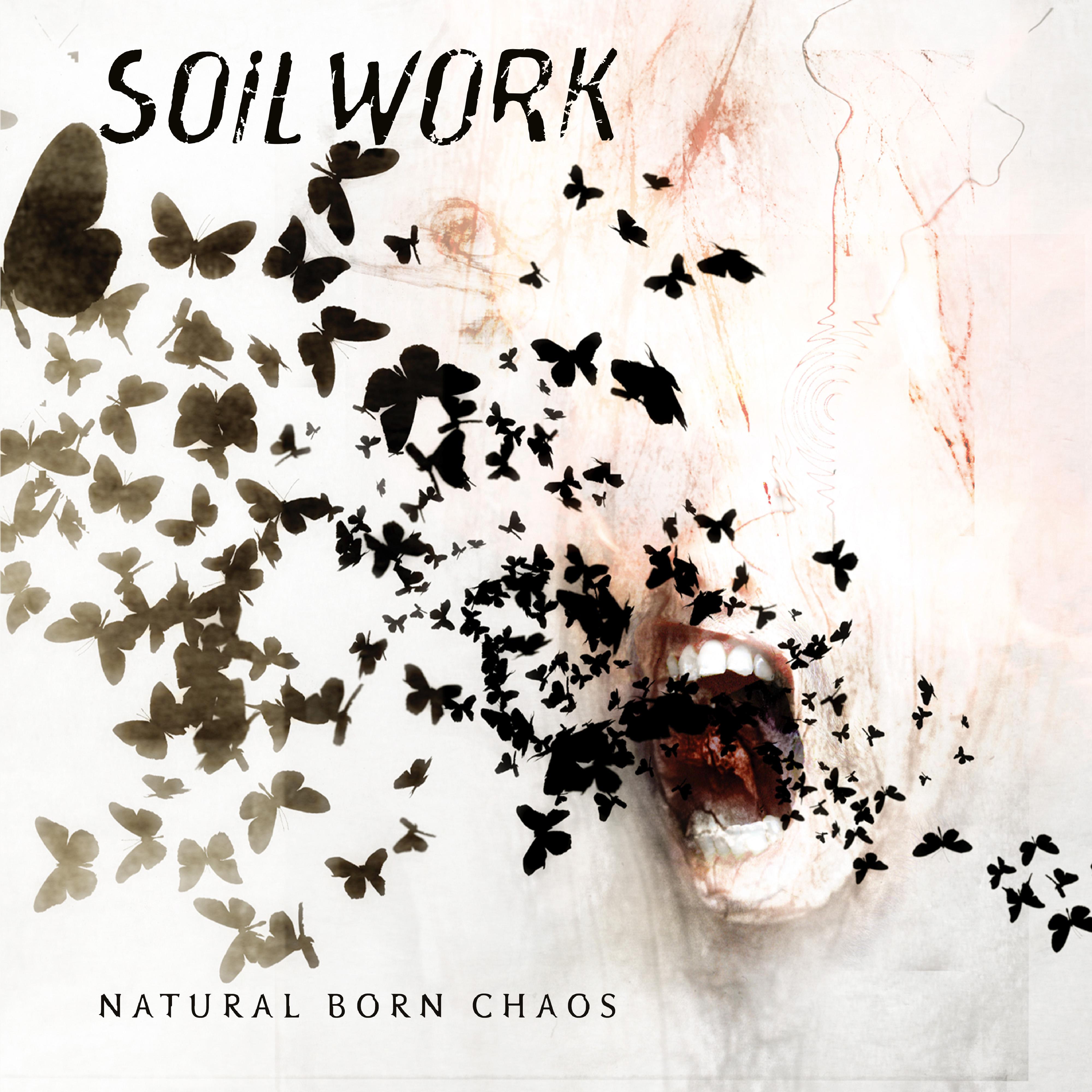 Постер альбома Natural Born Chaos