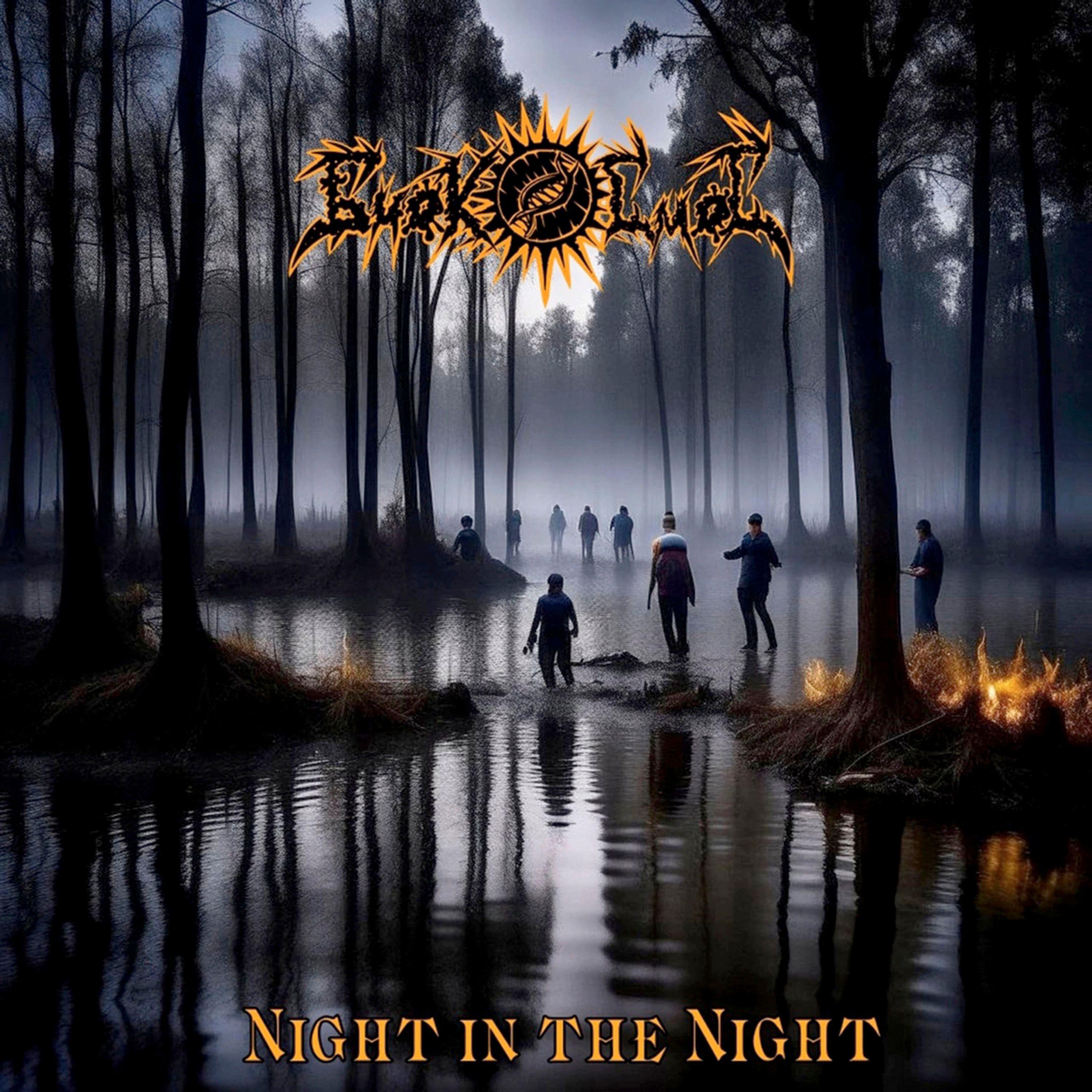 Постер альбома Night In the Night