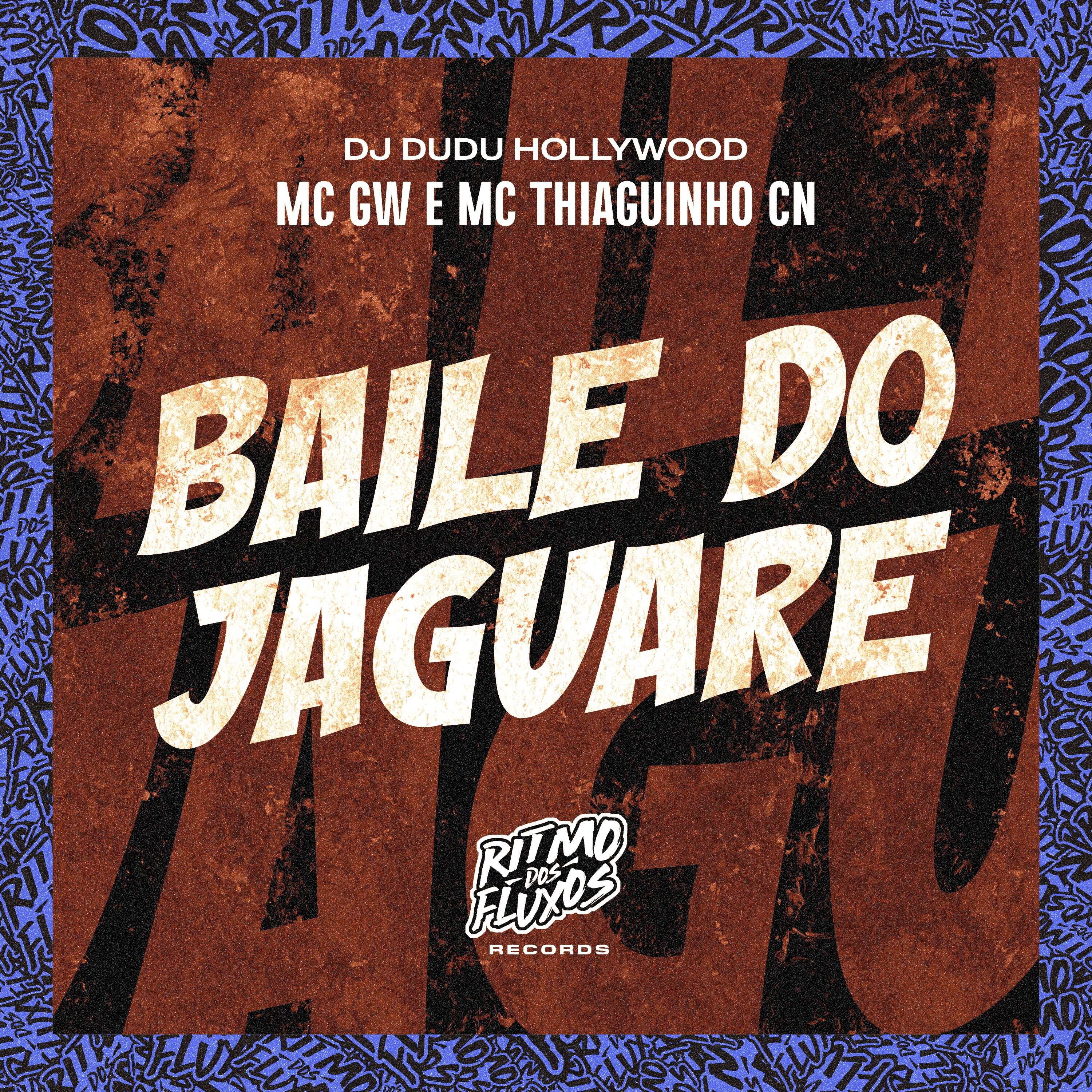 Постер альбома Baile do Jaguaré