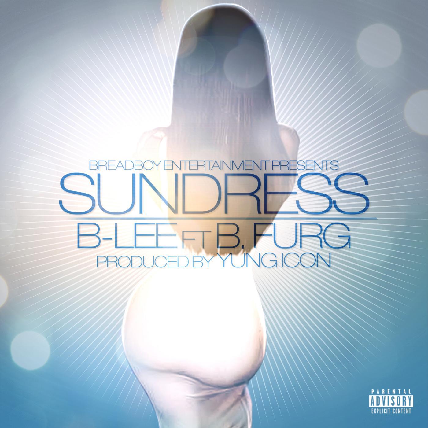 Постер альбома Sundress (feat. B Ferg)
