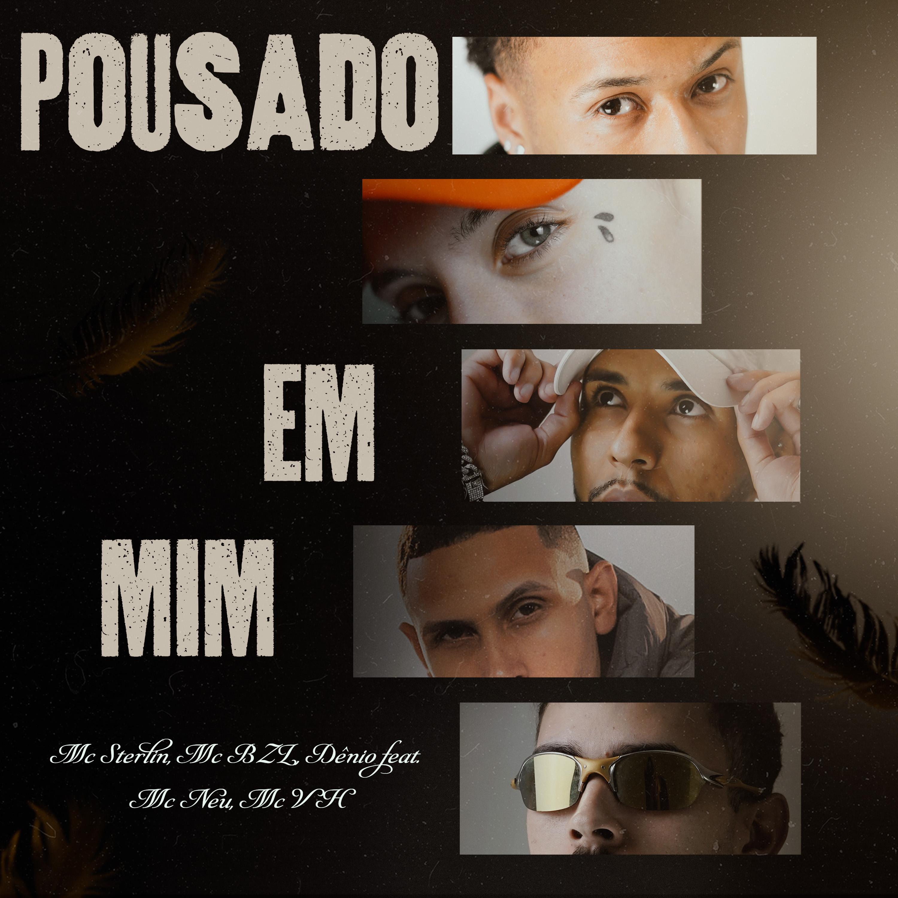 Постер альбома Pousado Em Mim