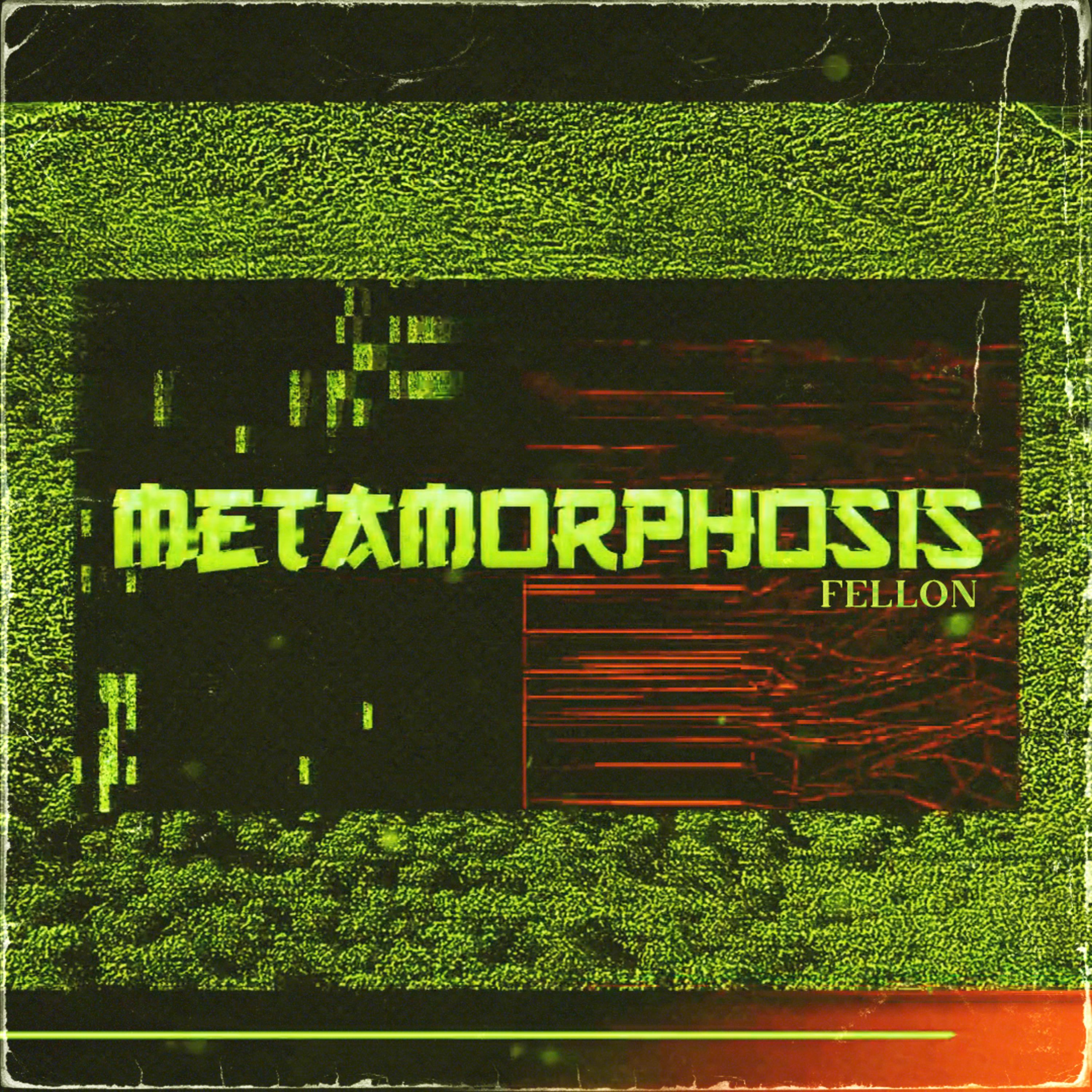 Постер альбома METAMORPHOSIS