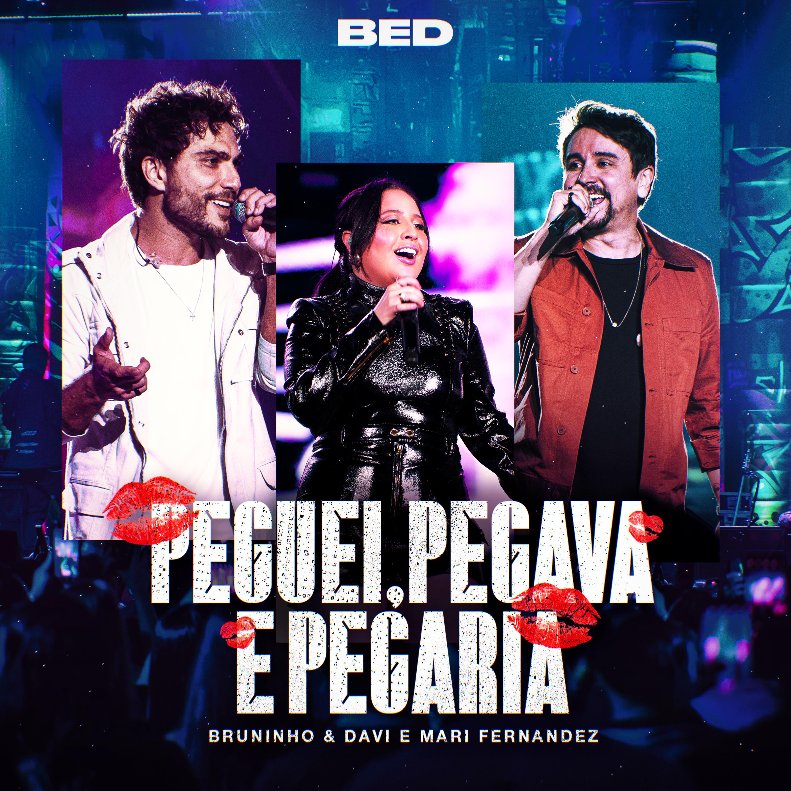 Постер альбома Peguei, Pegava e Pegaria