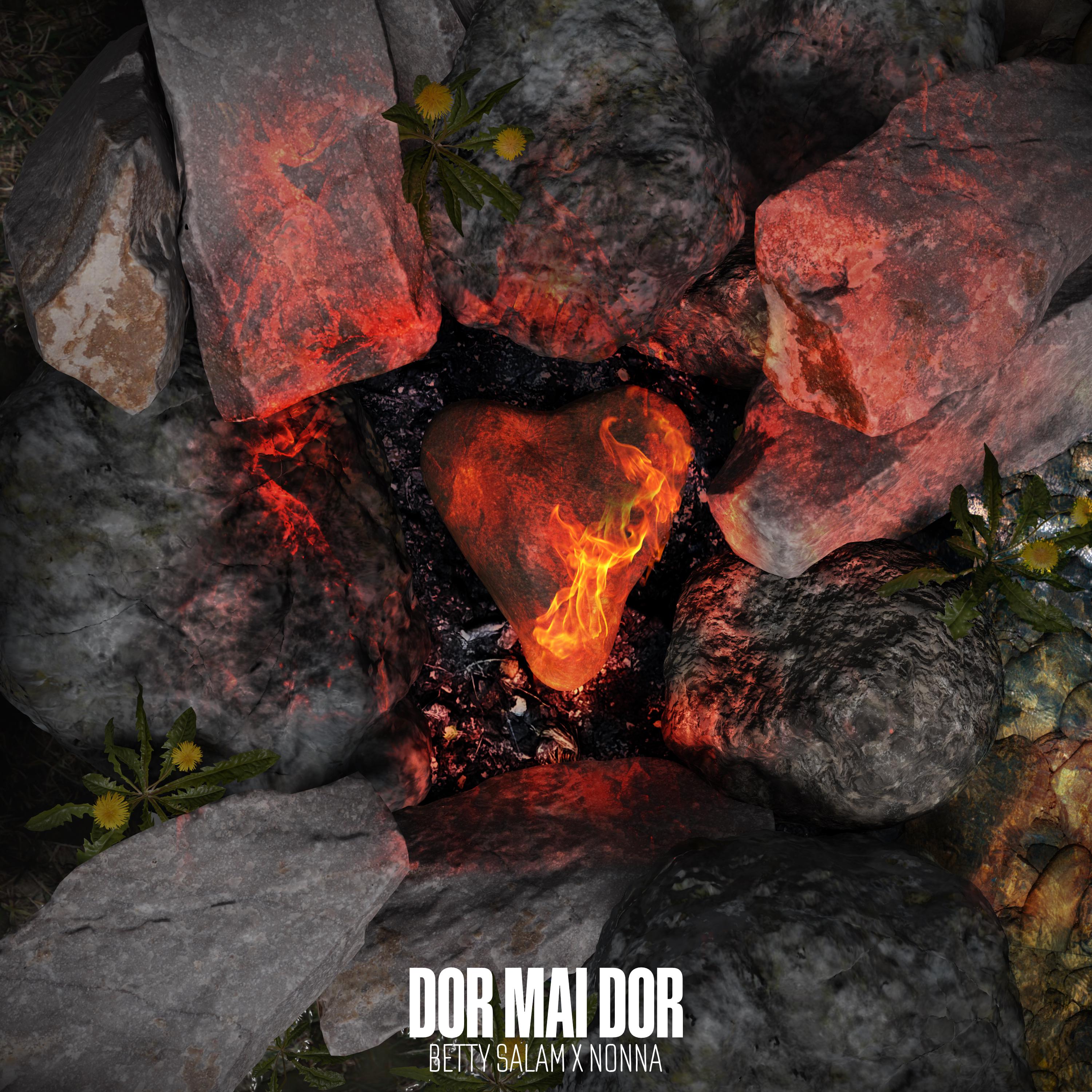 Постер альбома Dor mai dor