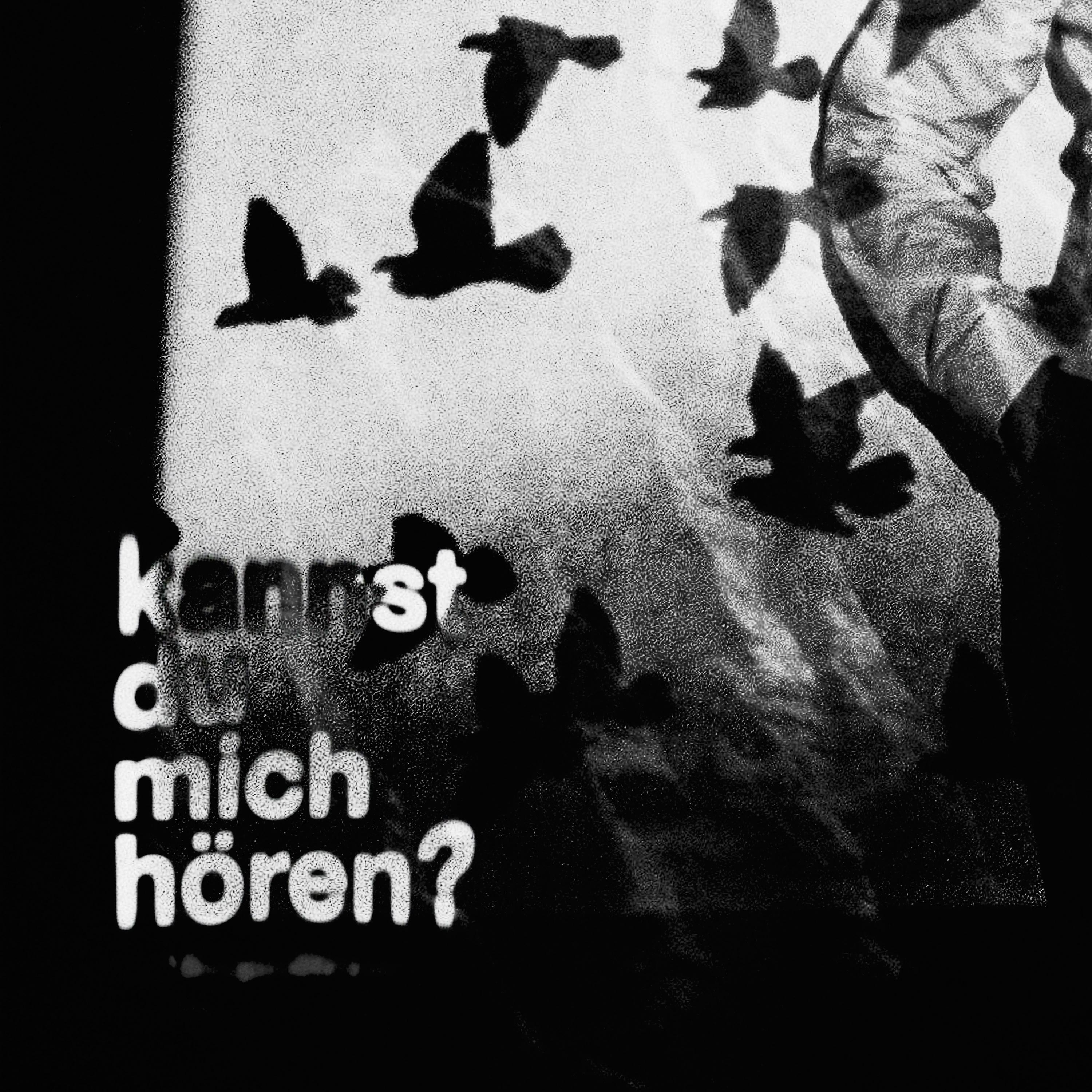 Постер альбома KANNST DU MICH HÖREN?