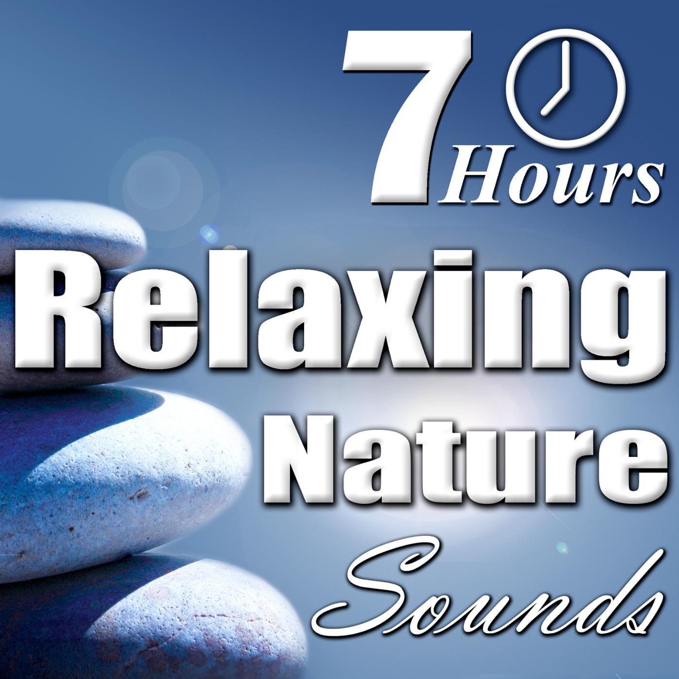 Nature Sounds - Ocean Waves - Relaxing Caribbean Sea