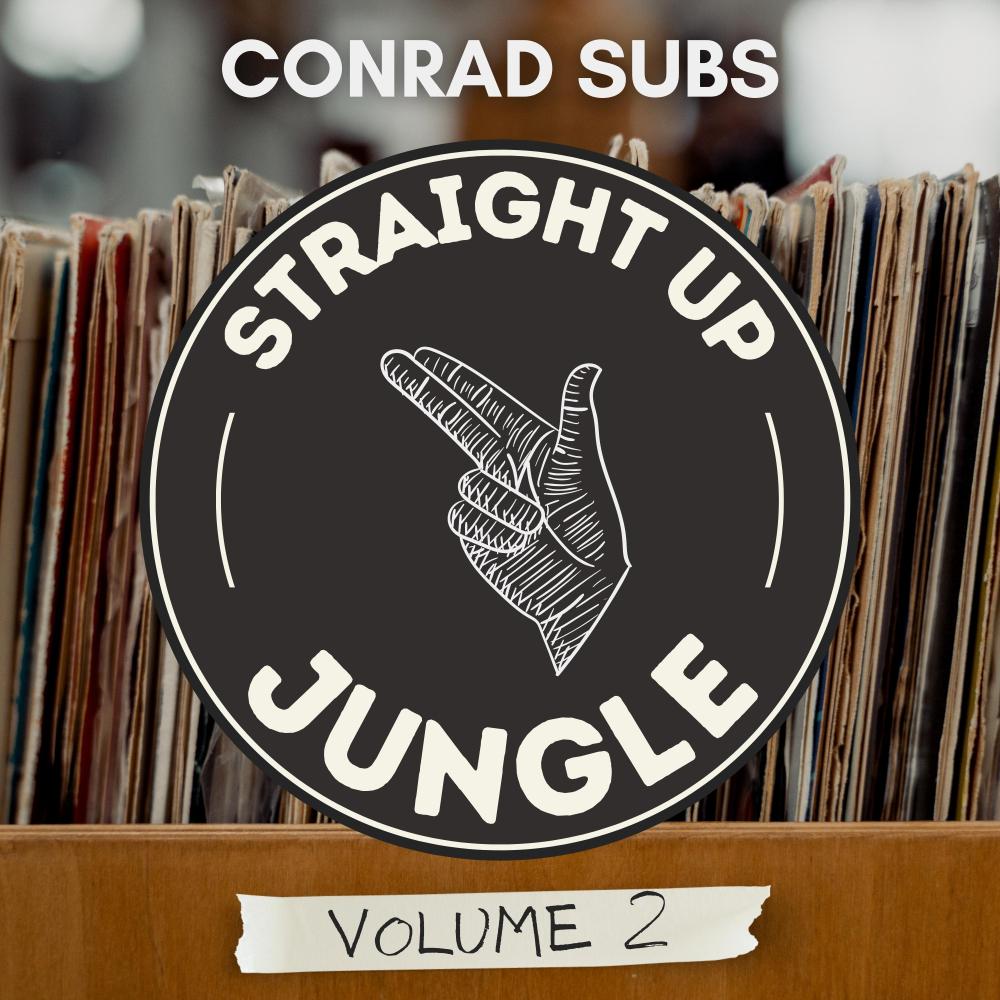 Постер альбома Straight Up Jungle: Volume 2