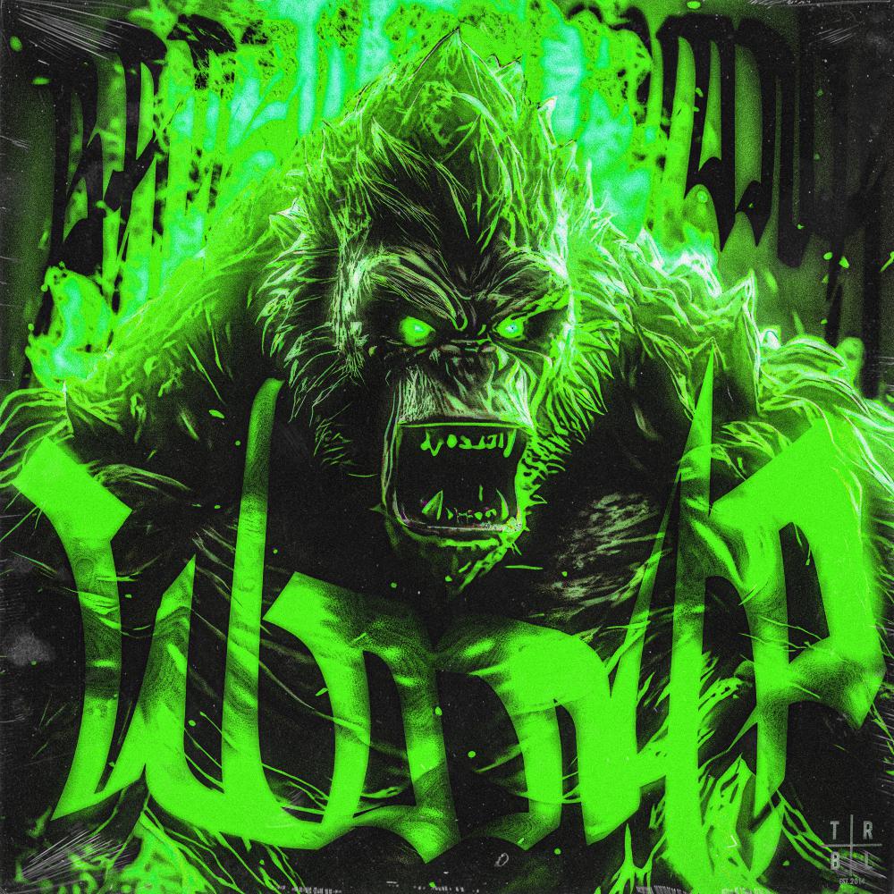 Постер альбома Womp (Brazilian Phonk) [Slowed + Reverb]