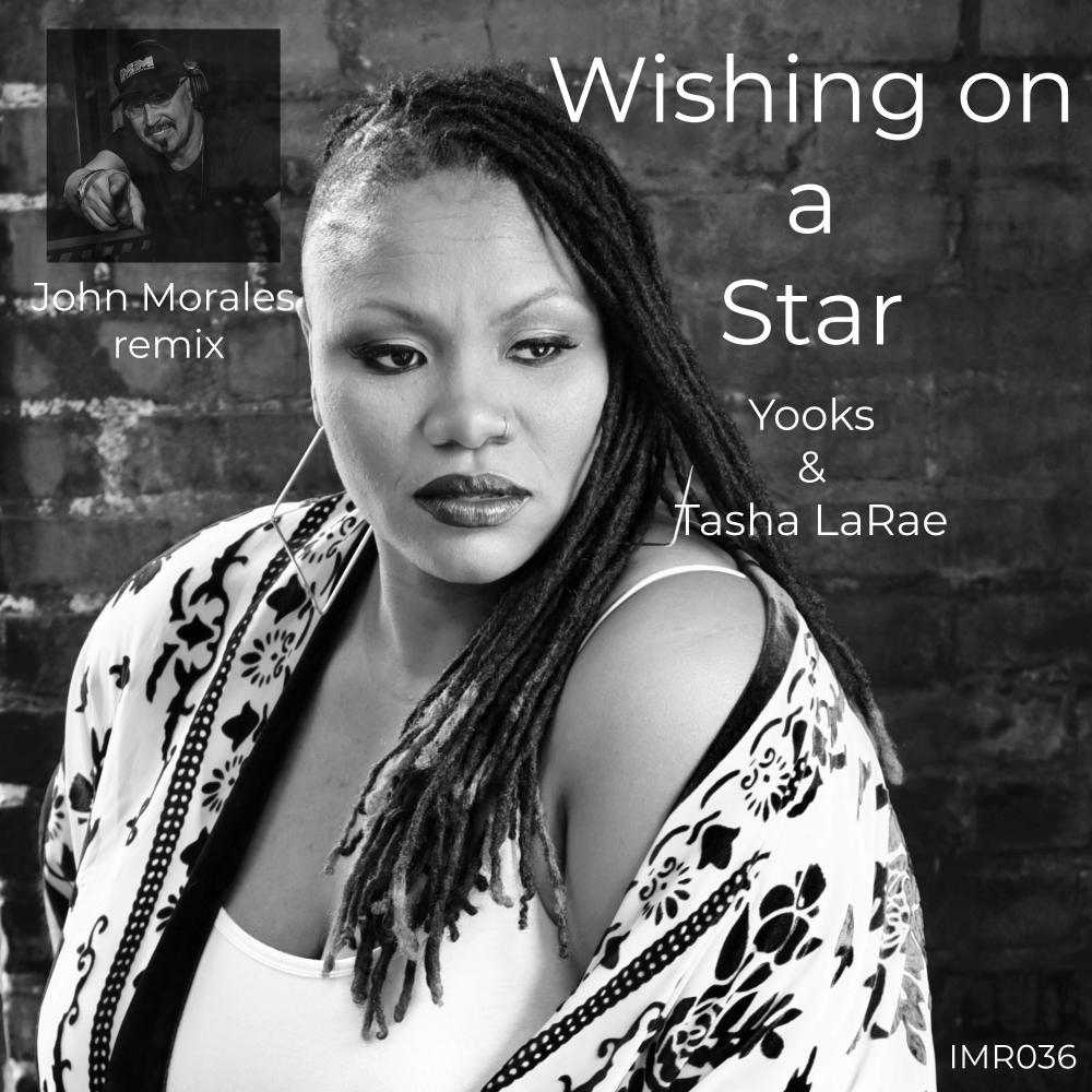 Постер альбома Wishing On A Star