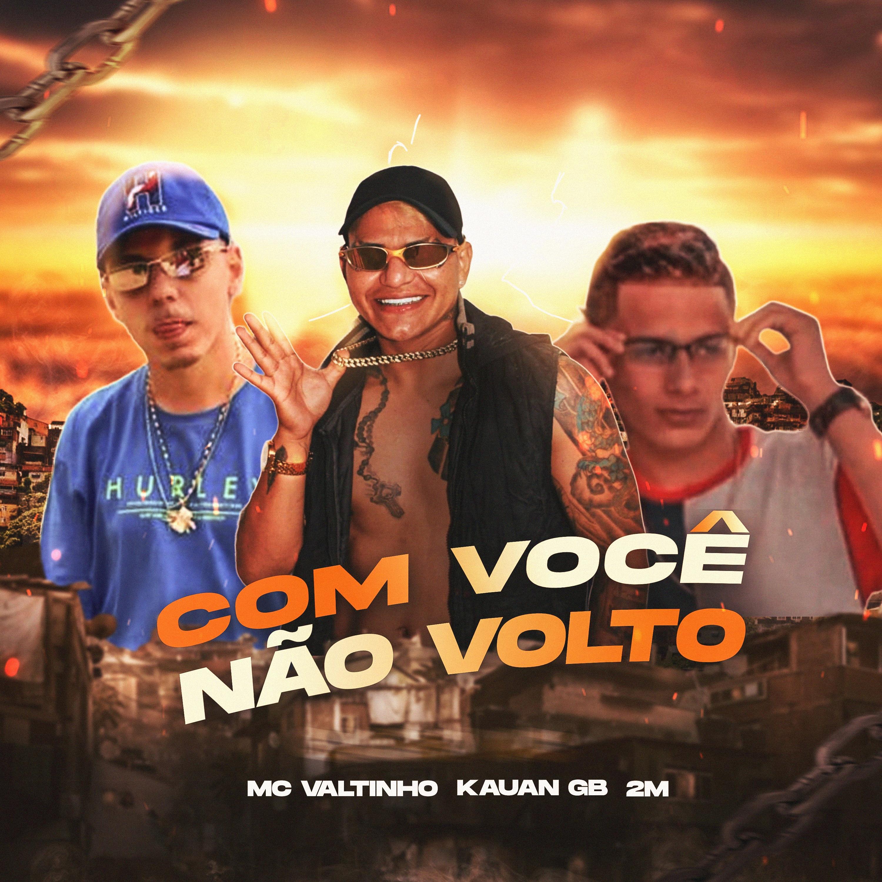 Постер альбома Com Você Não Volto