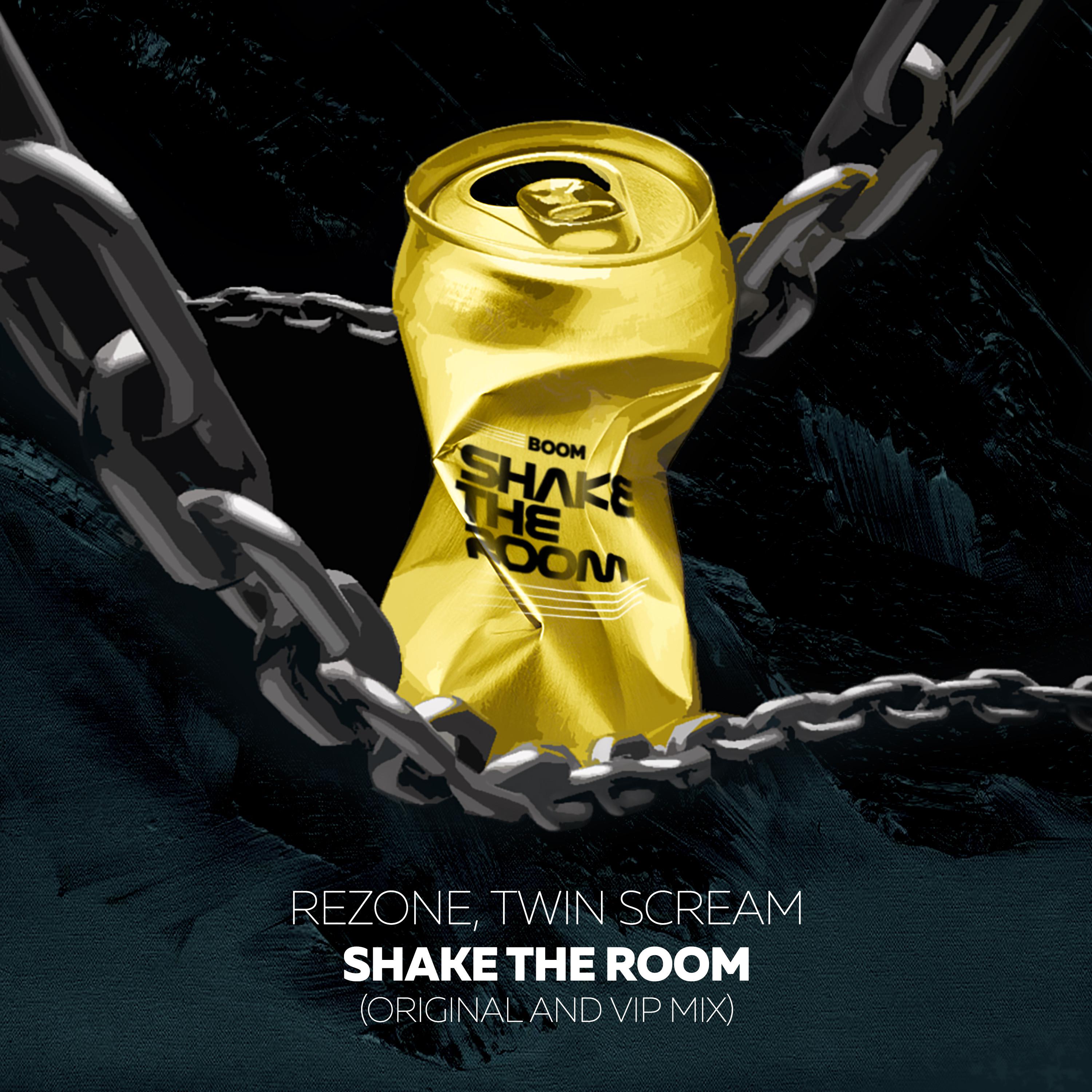 Постер альбома Shake The Room