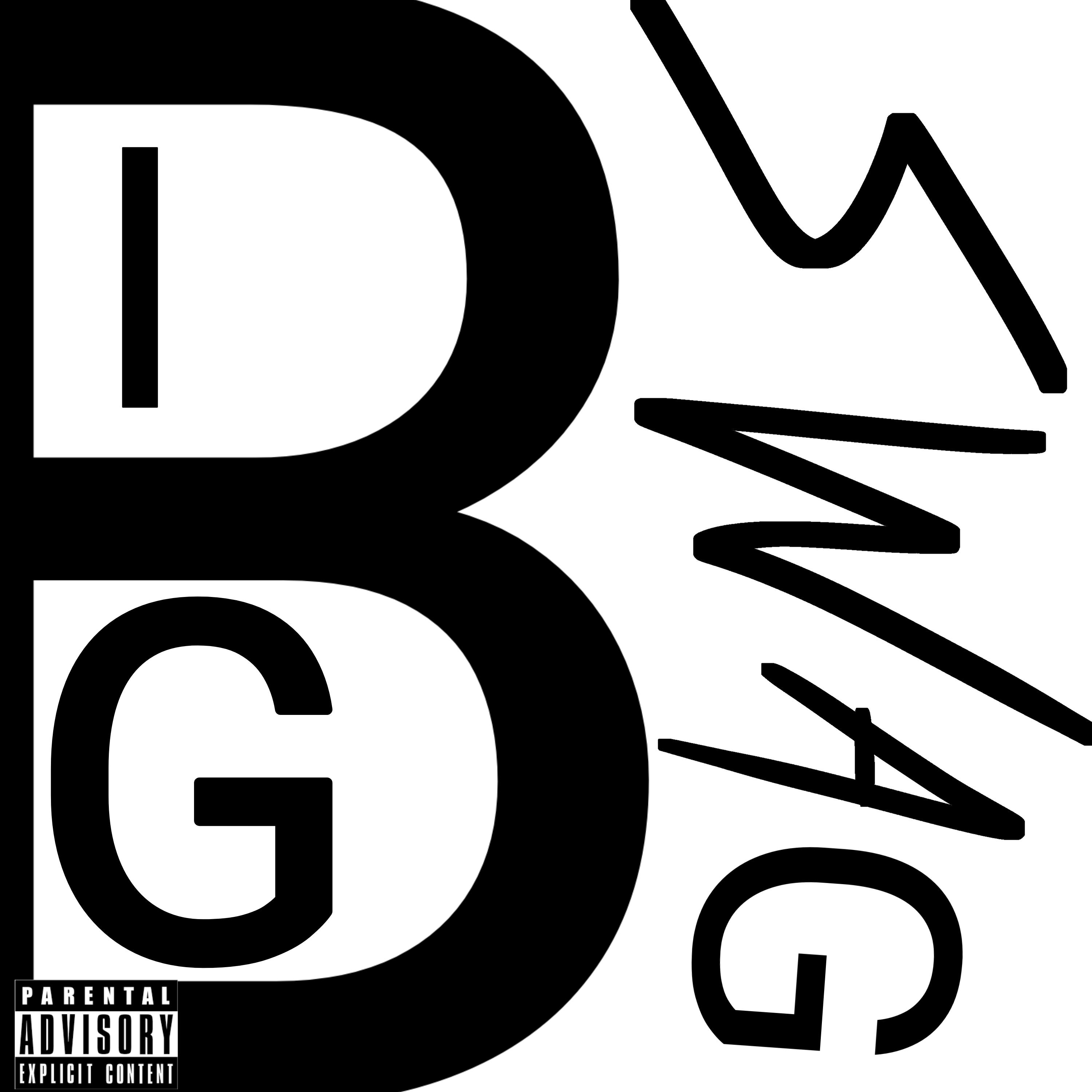 Постер альбома Big Swag (feat. Mr.kil)