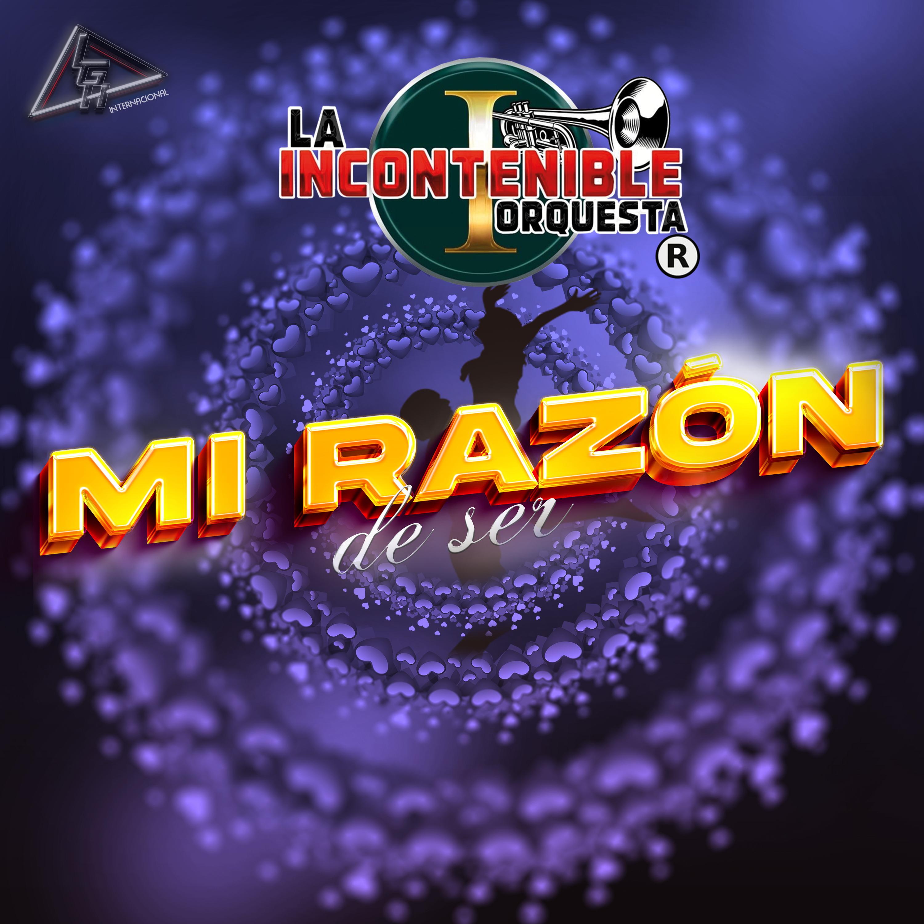 Постер альбома Mi Razón de Ser
