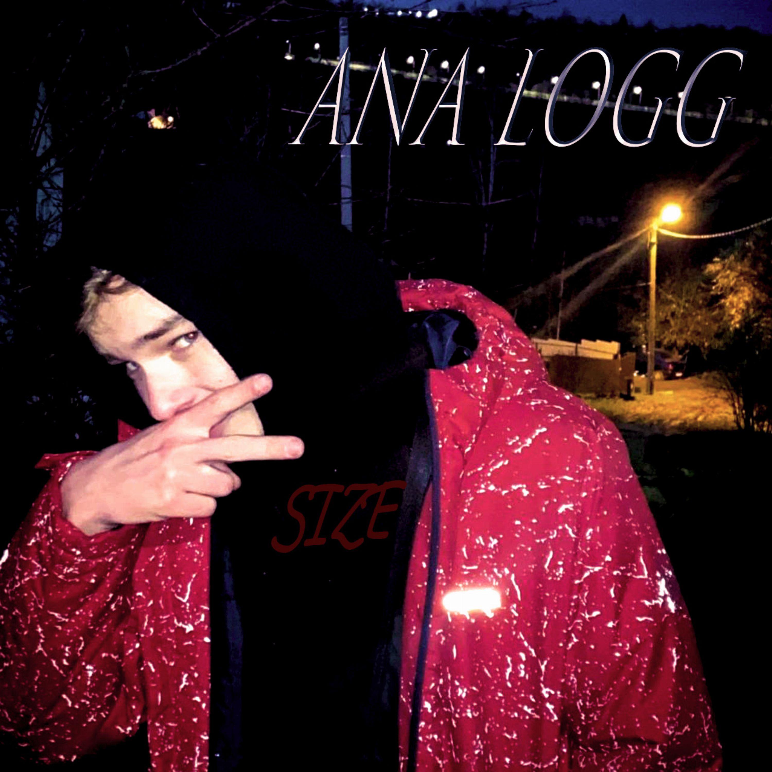 Постер альбома ANA LOGG