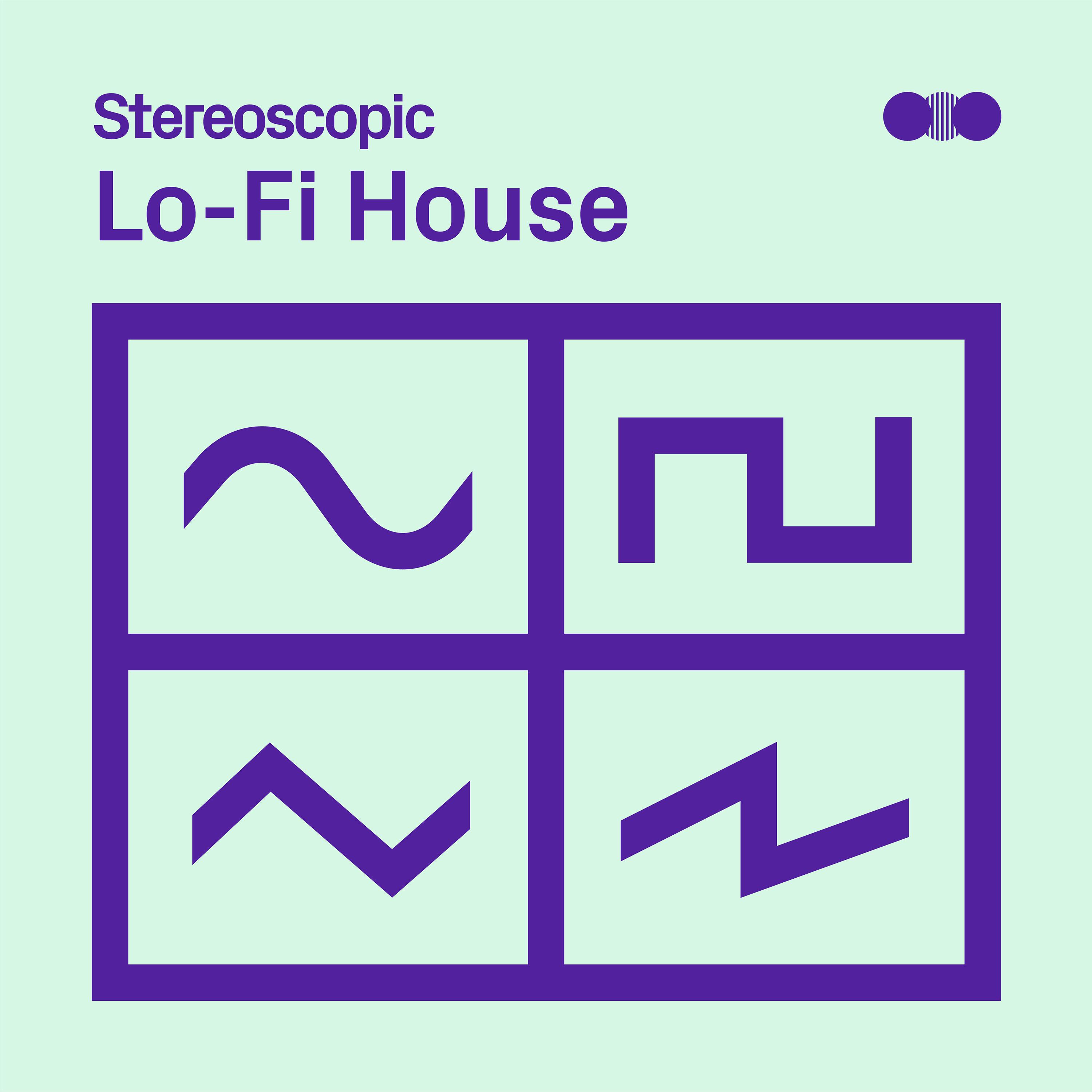 Постер альбома Lo Fi House