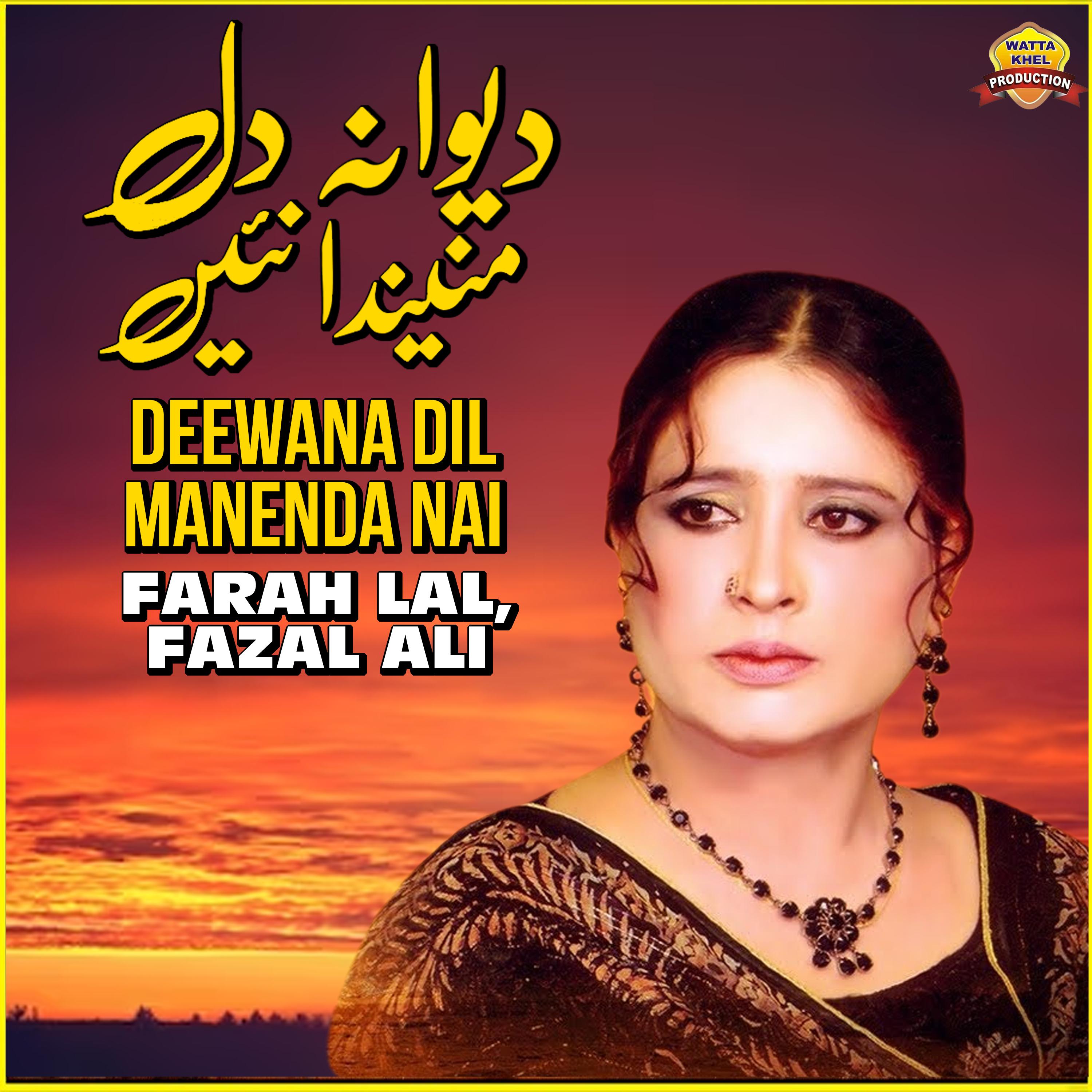 Постер альбома Deewana Dil Manenda Nai