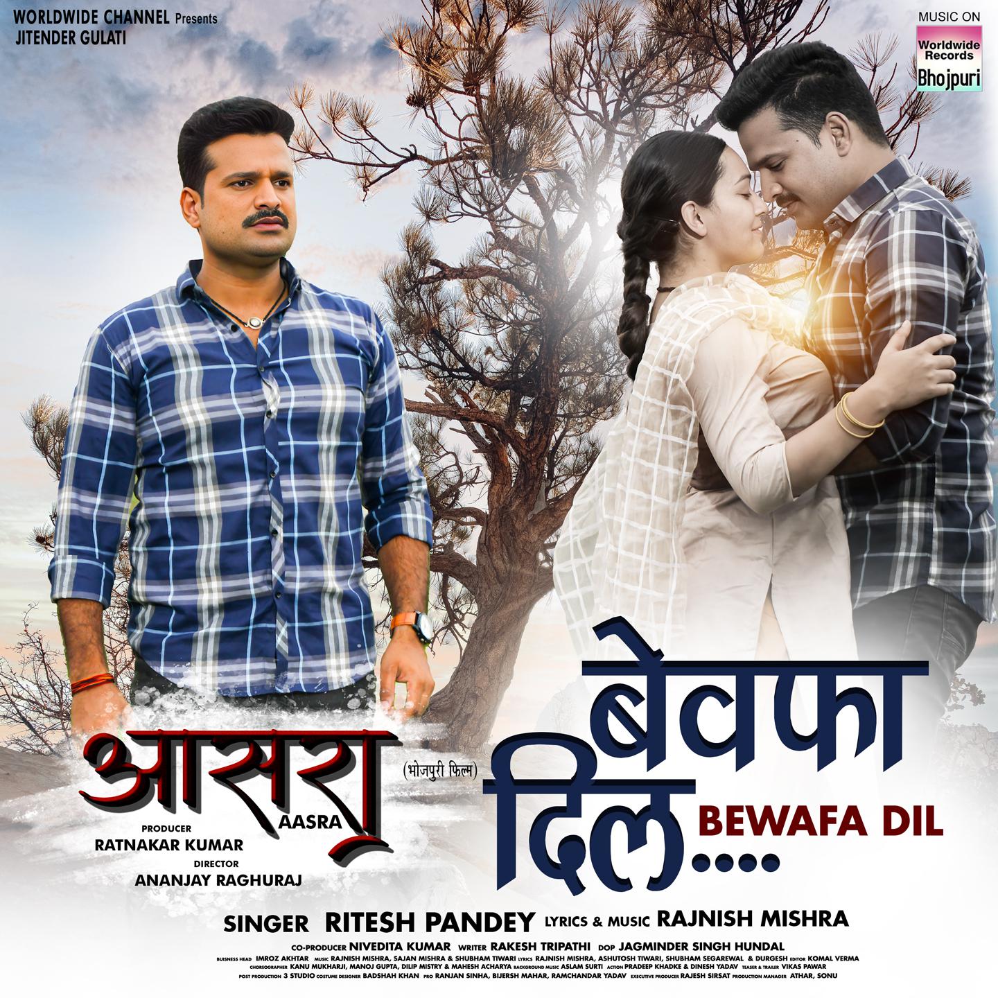 Постер альбома Bewafa Dil