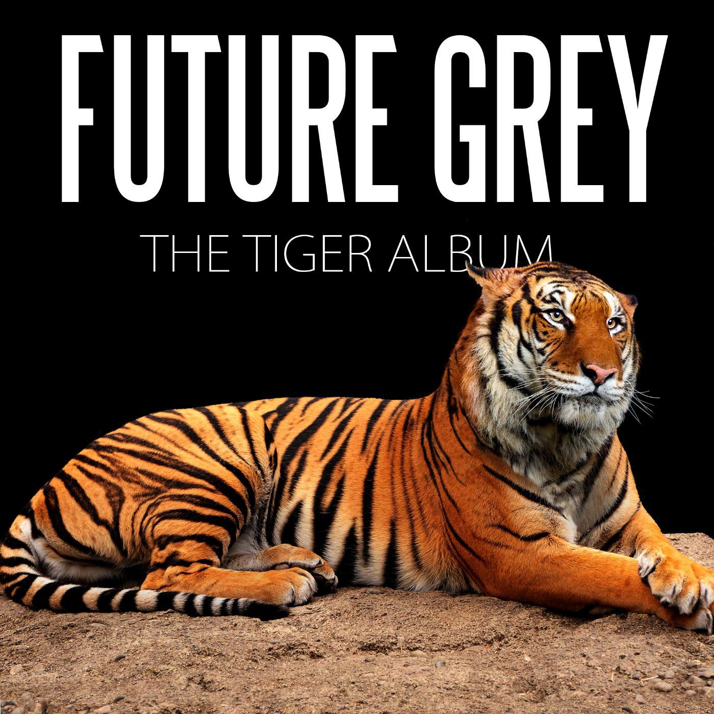 Постер альбома The Tiger Album
