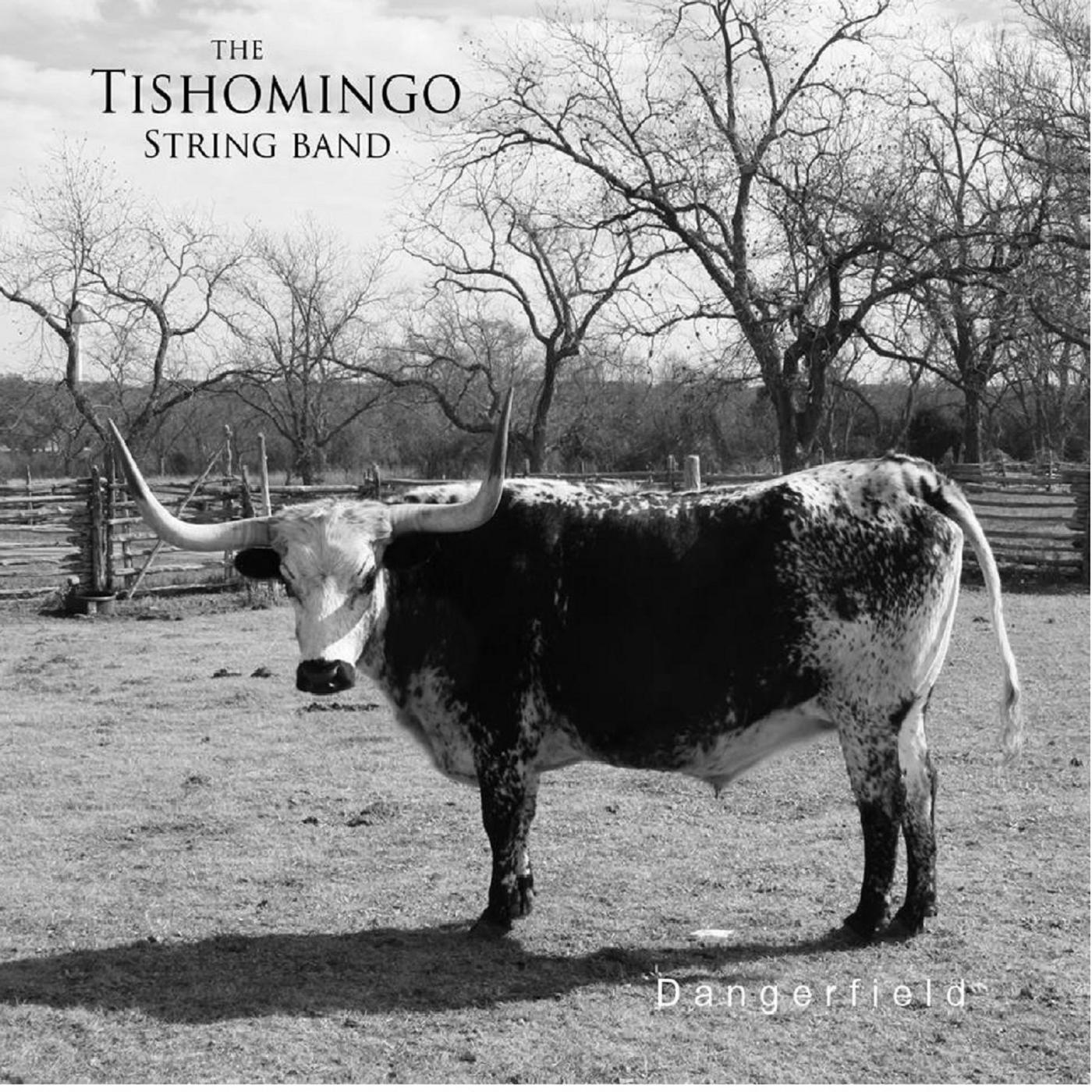 Tishomingo String Band - Eva Lynne
