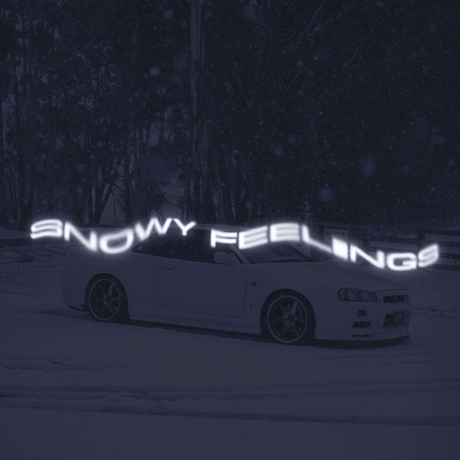 Постер альбома Snowy Feelings