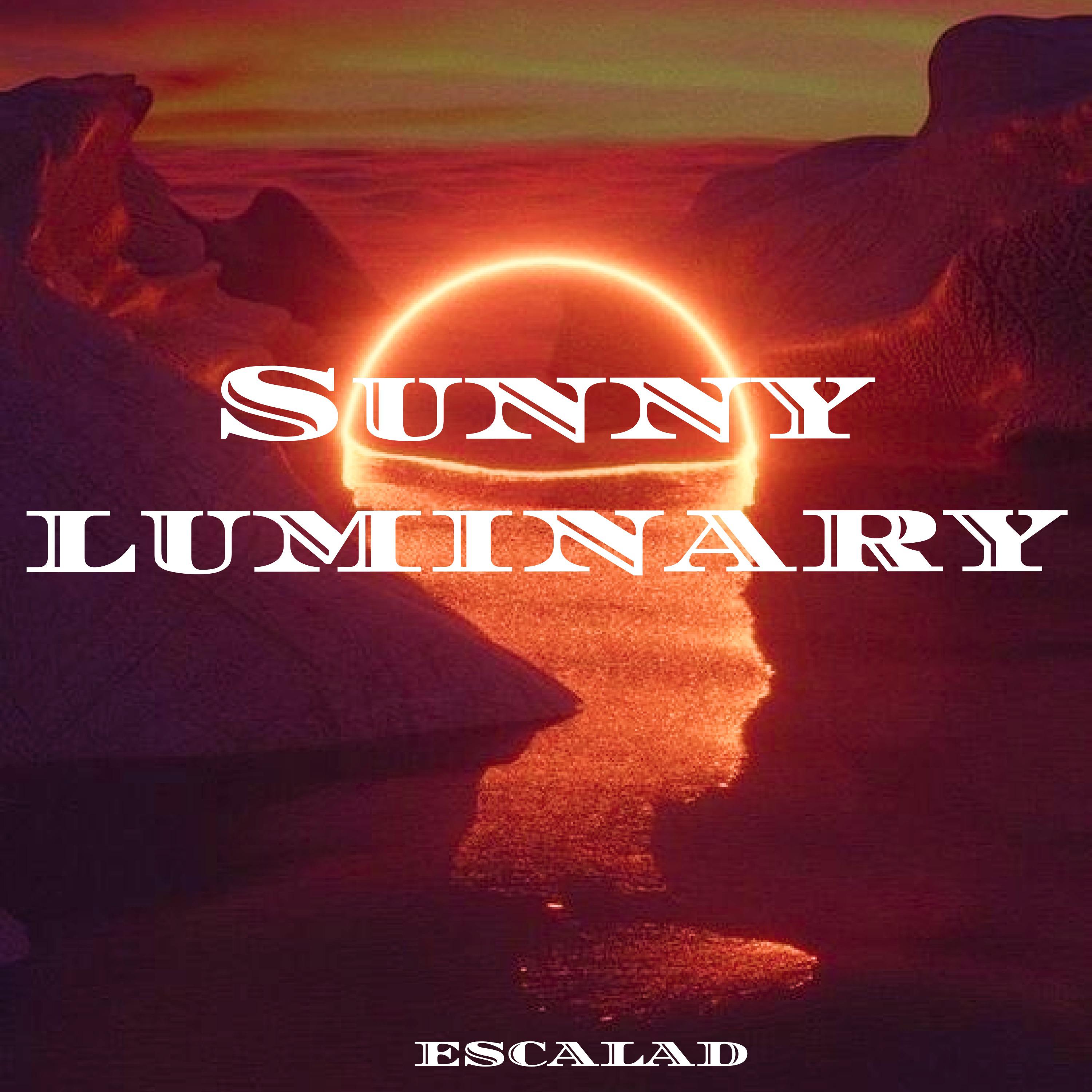 Постер альбома Sunny Luminary