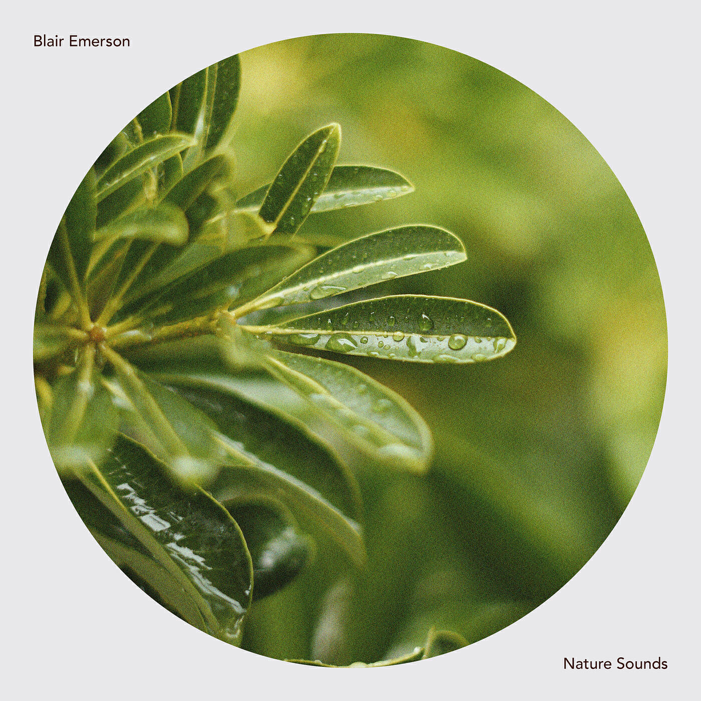Nature Sounds - Thunderstorm Sounds - Calming, Relaxing Thunderstorm Sounds for Sleep and Relaxation